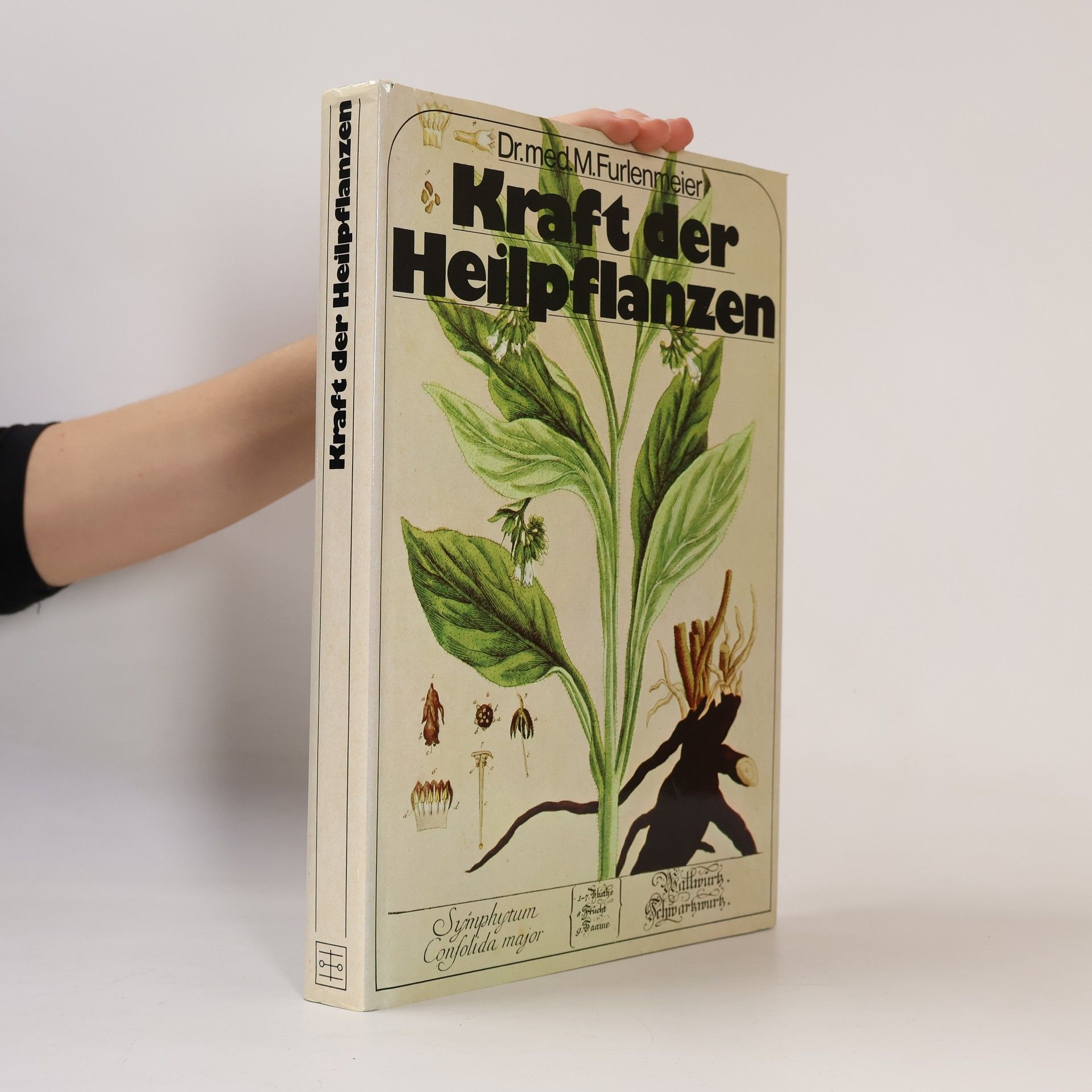Martin Furlenmeier Kraft der Heilpflanzen