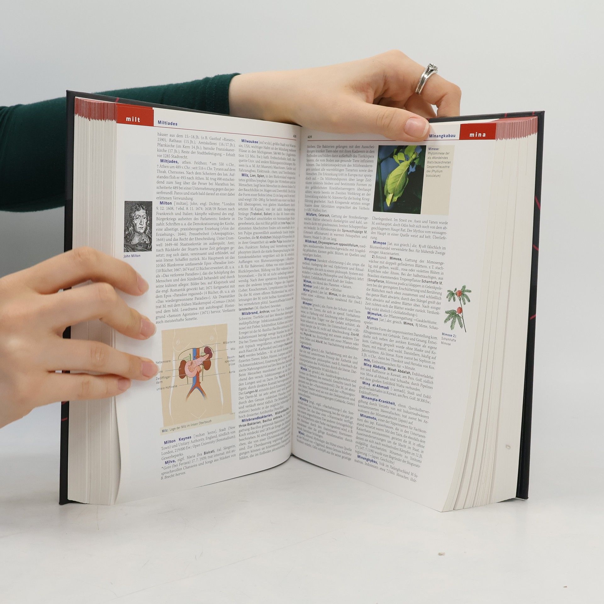 Collectif d'auteurs Der Brockhaus 4. Lase-Pfak