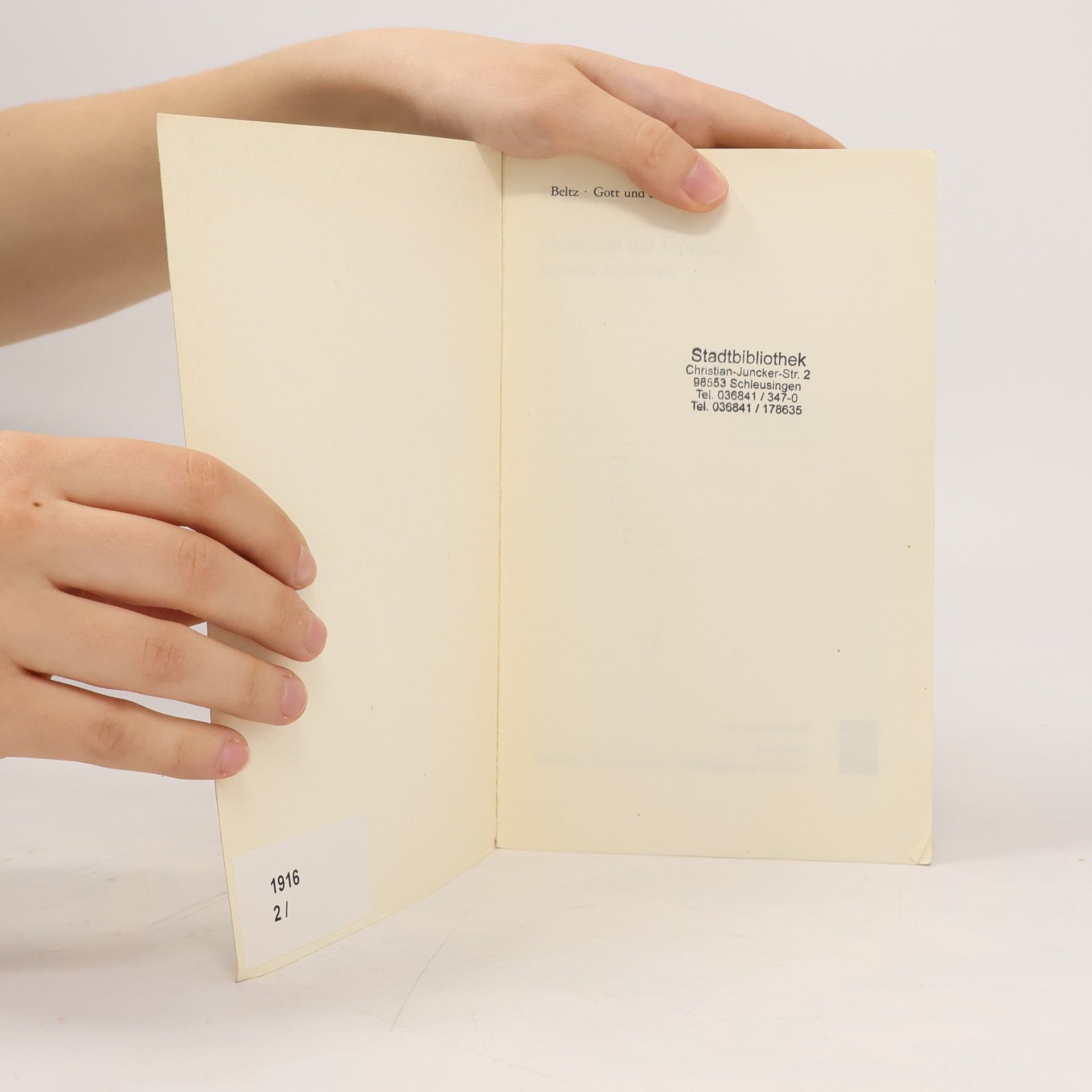 Walter Beltz Gott und die Götter. Biblische Mythologie