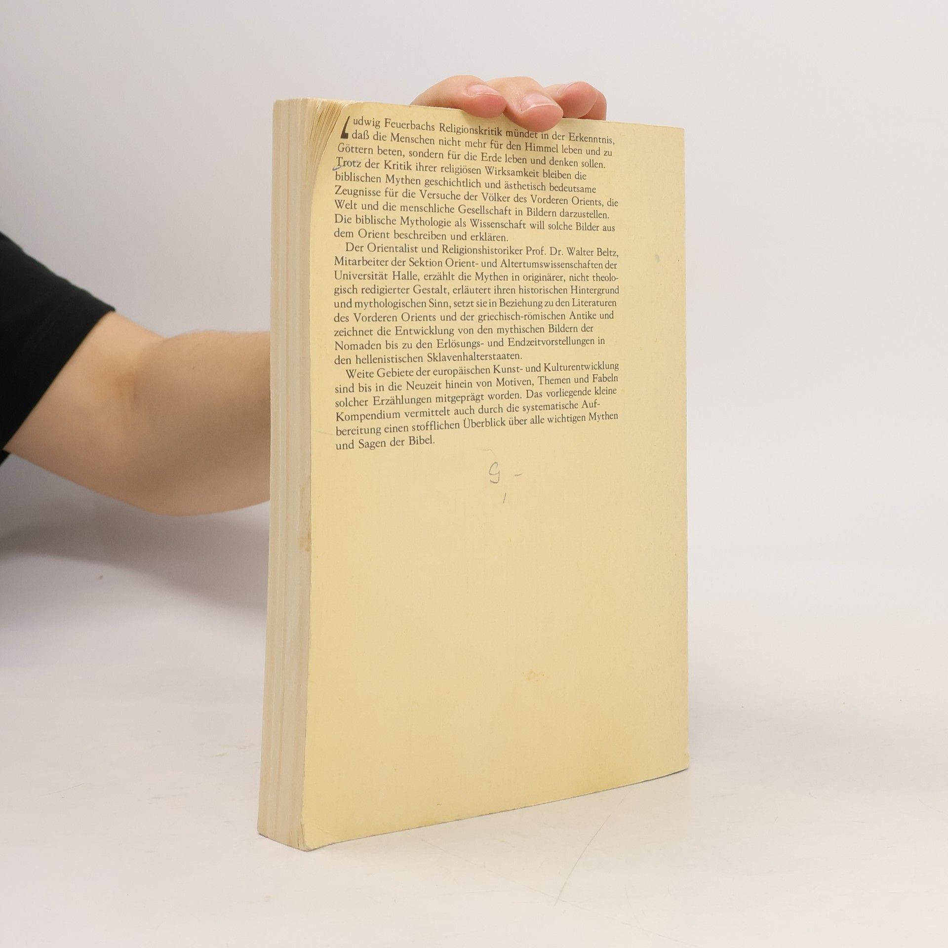 Walter Beltz Gott und die Götter. Biblische Mythologie
