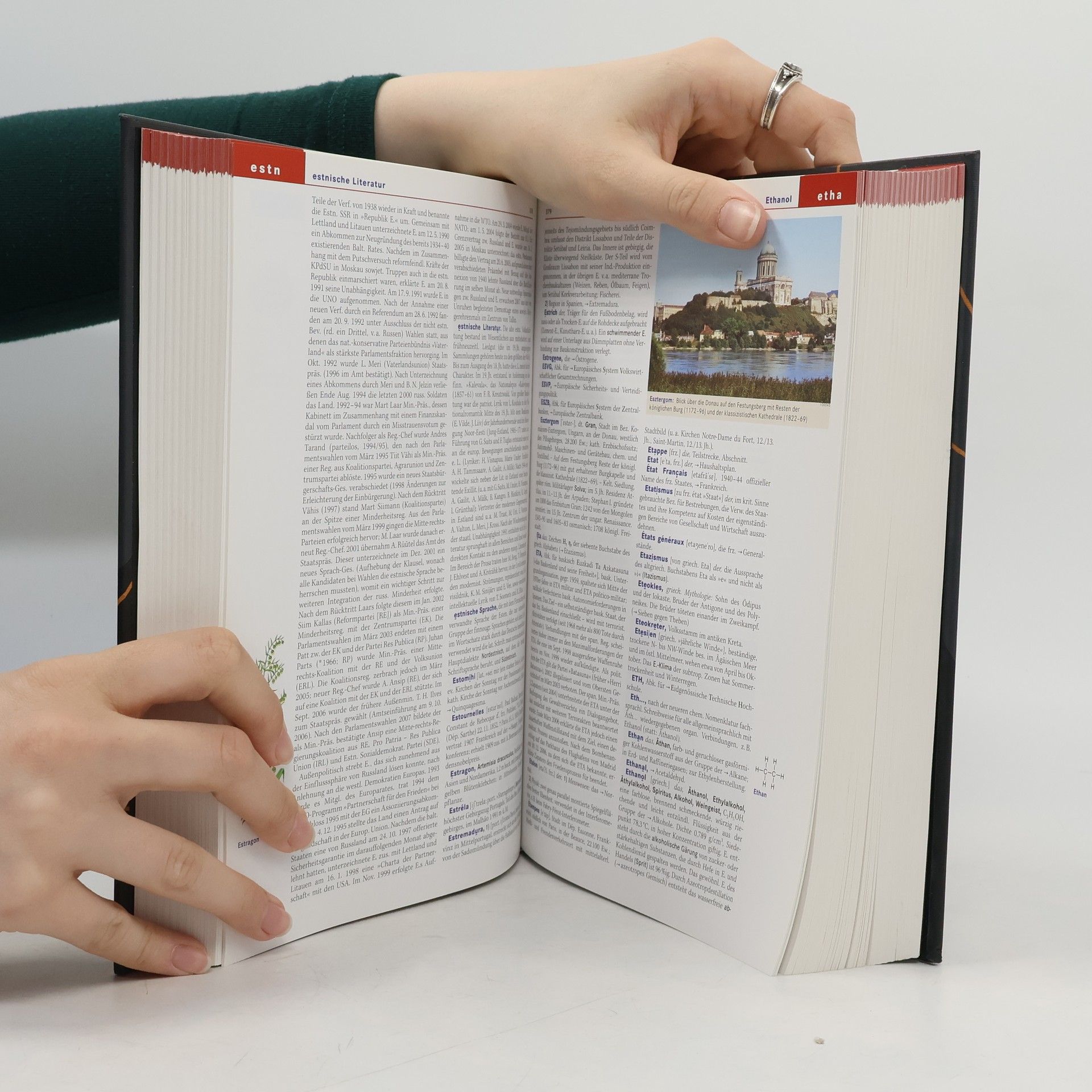 Autorenkollektiv Der Brockhaus 6. Stein-ZZ