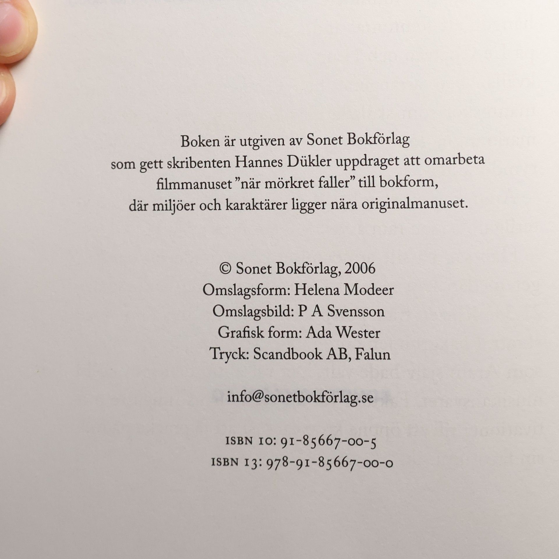 Hannes Dükler När mörkret faller