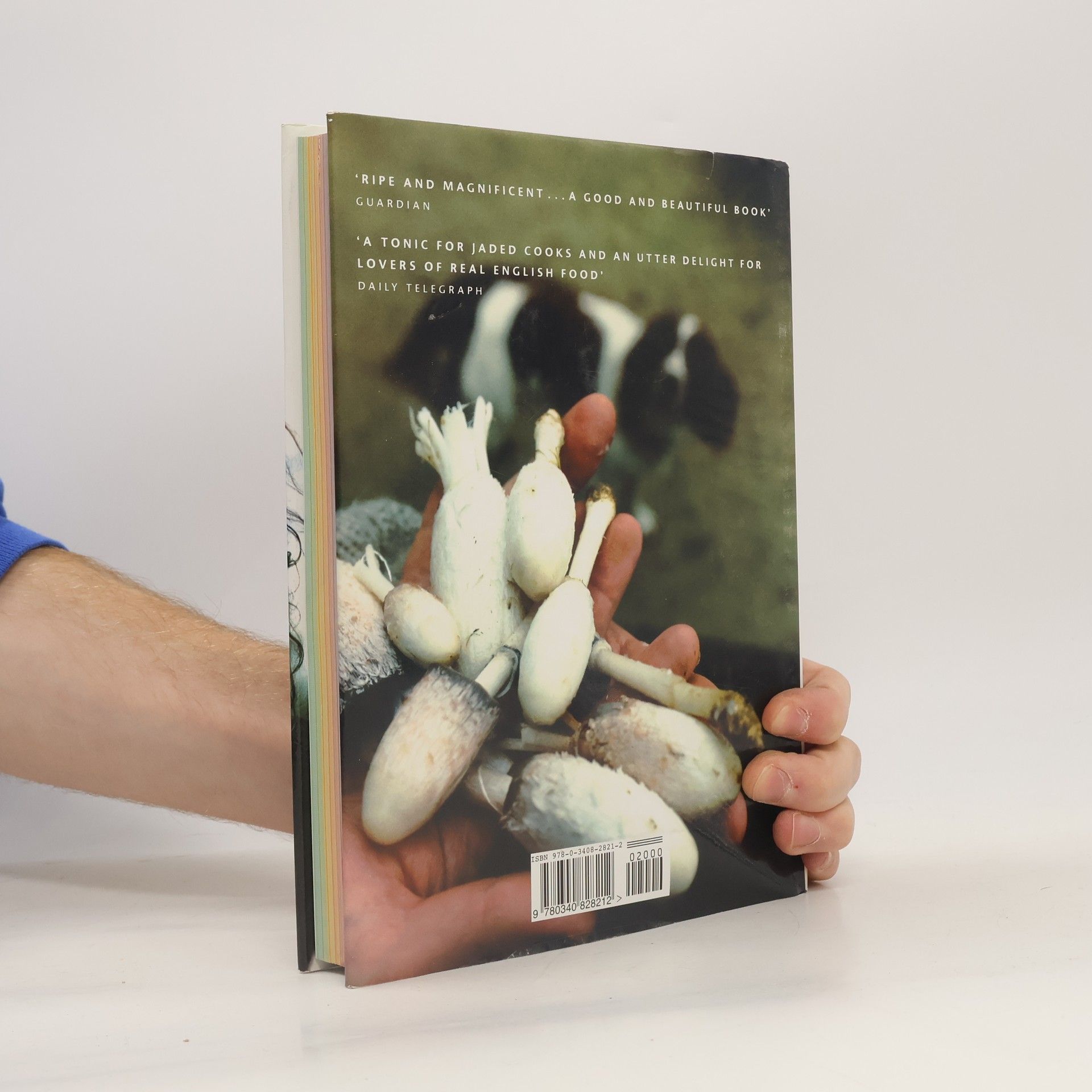 Hugh Fearnley-Whittingstall The River Cottage year