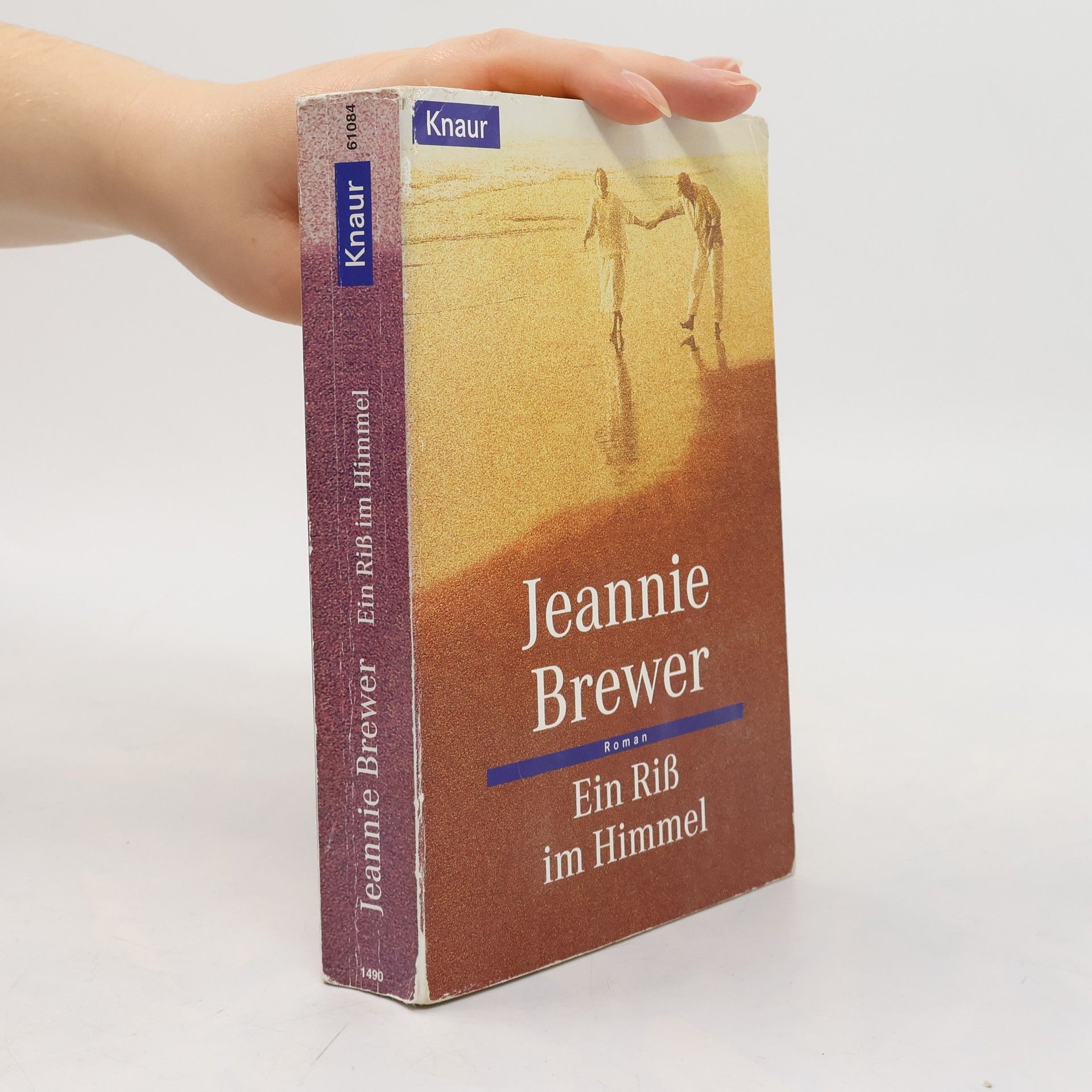 Jeannie Brewer Ein Riß im Himmel