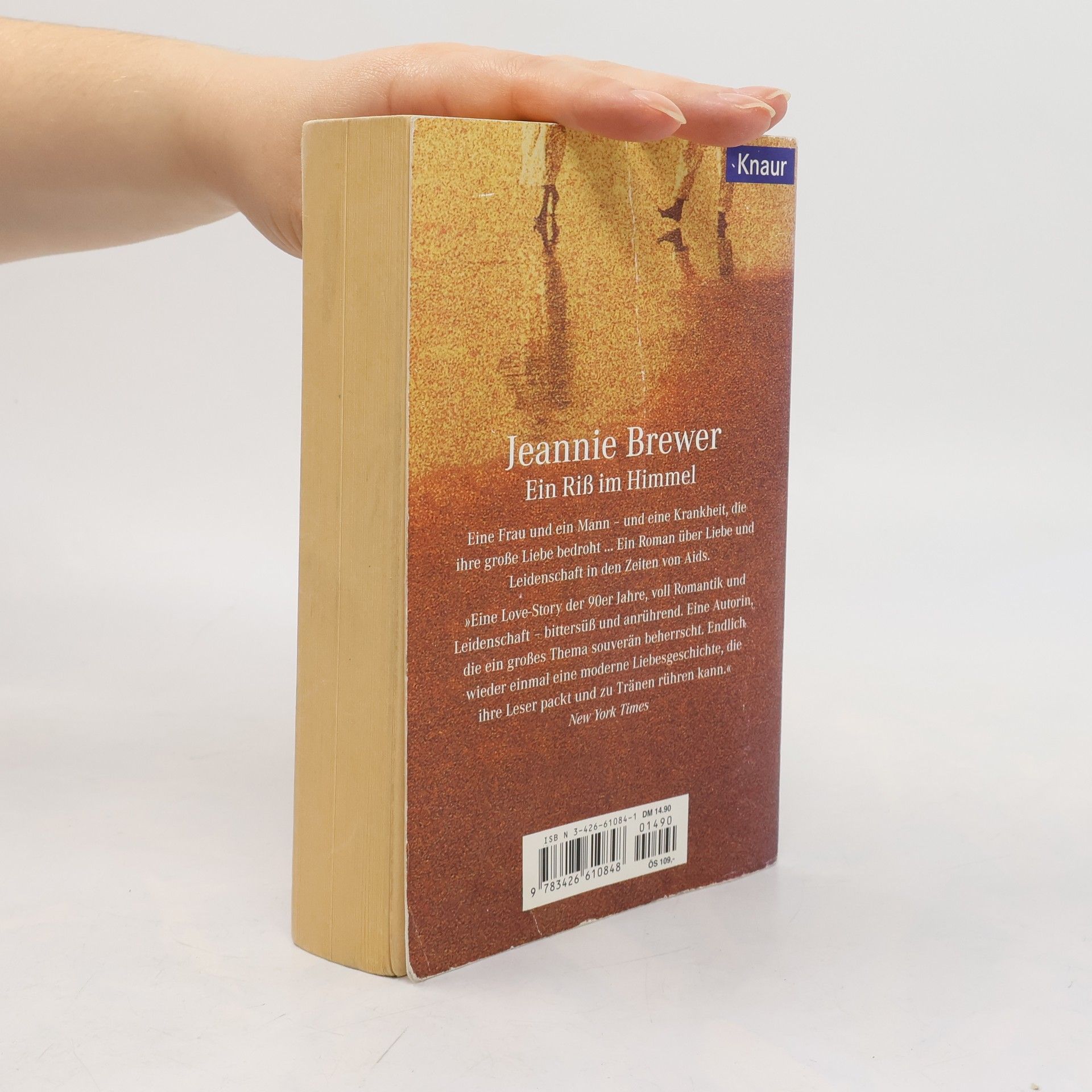Jeannie Brewer Ein Riß im Himmel