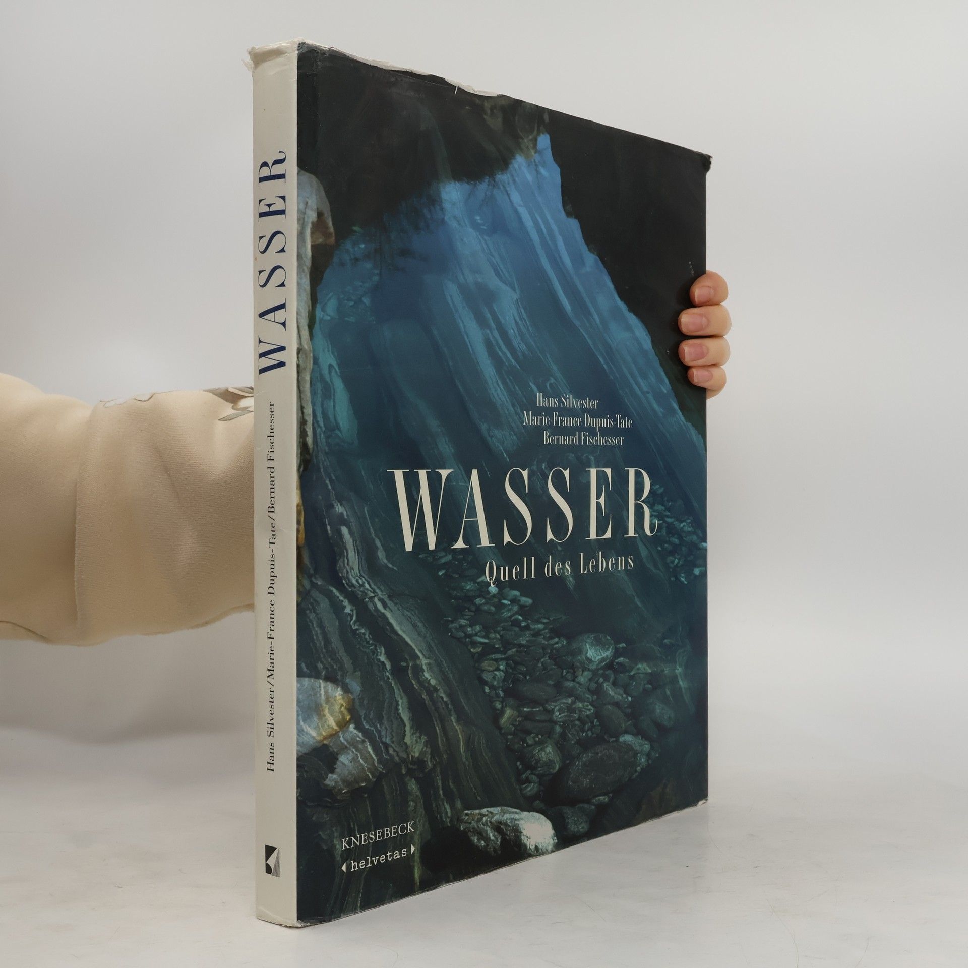 Hans Silvester Wasser - Quell des Lebens