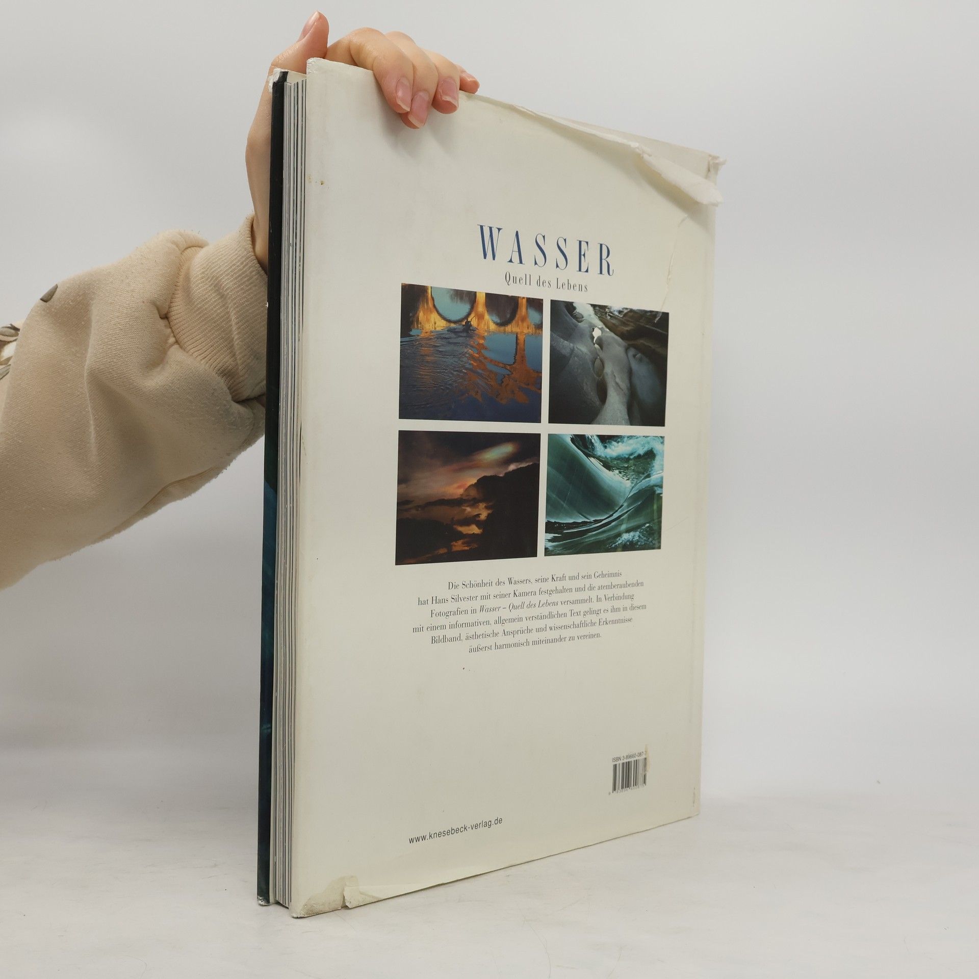 Hans Silvester Wasser - Quell des Lebens