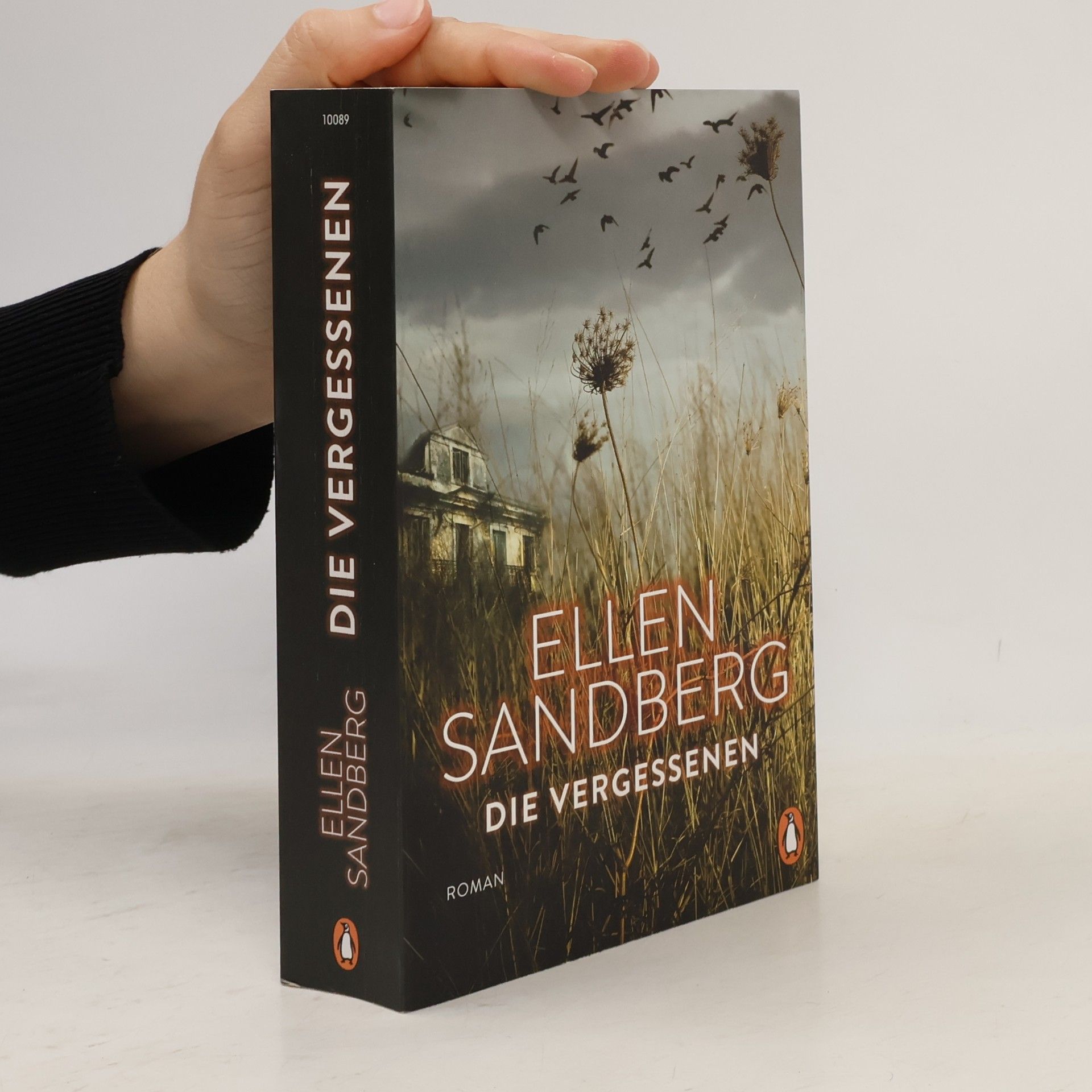 Ellen Sandberg Die Vergessenen