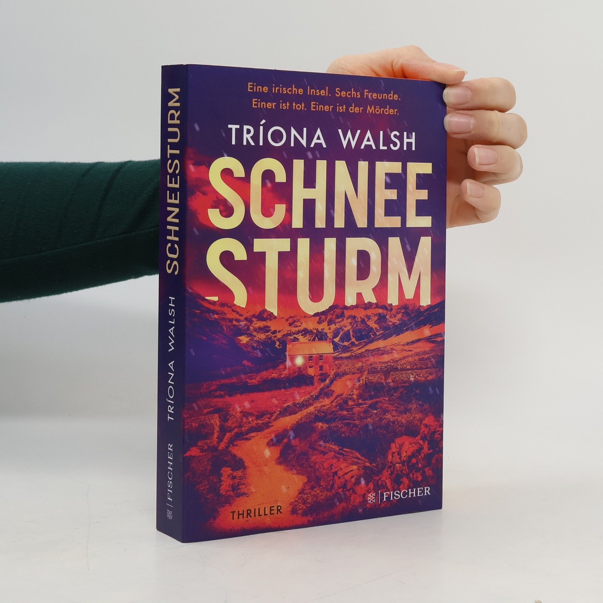 Tríona Walsh Schneesturm