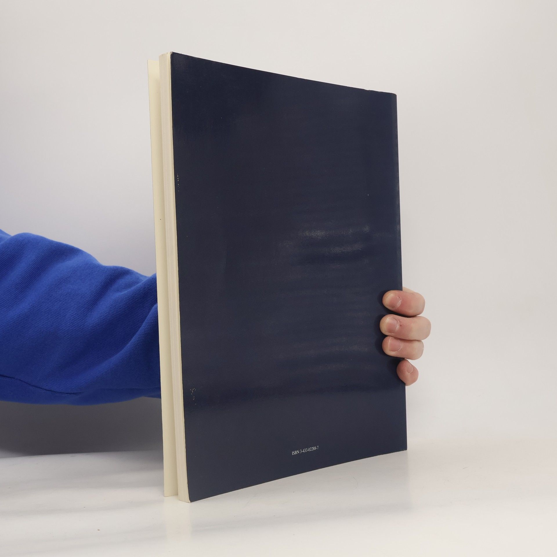 Kristin Feireiss 14 x Amerika-Gedenkbibliothek
