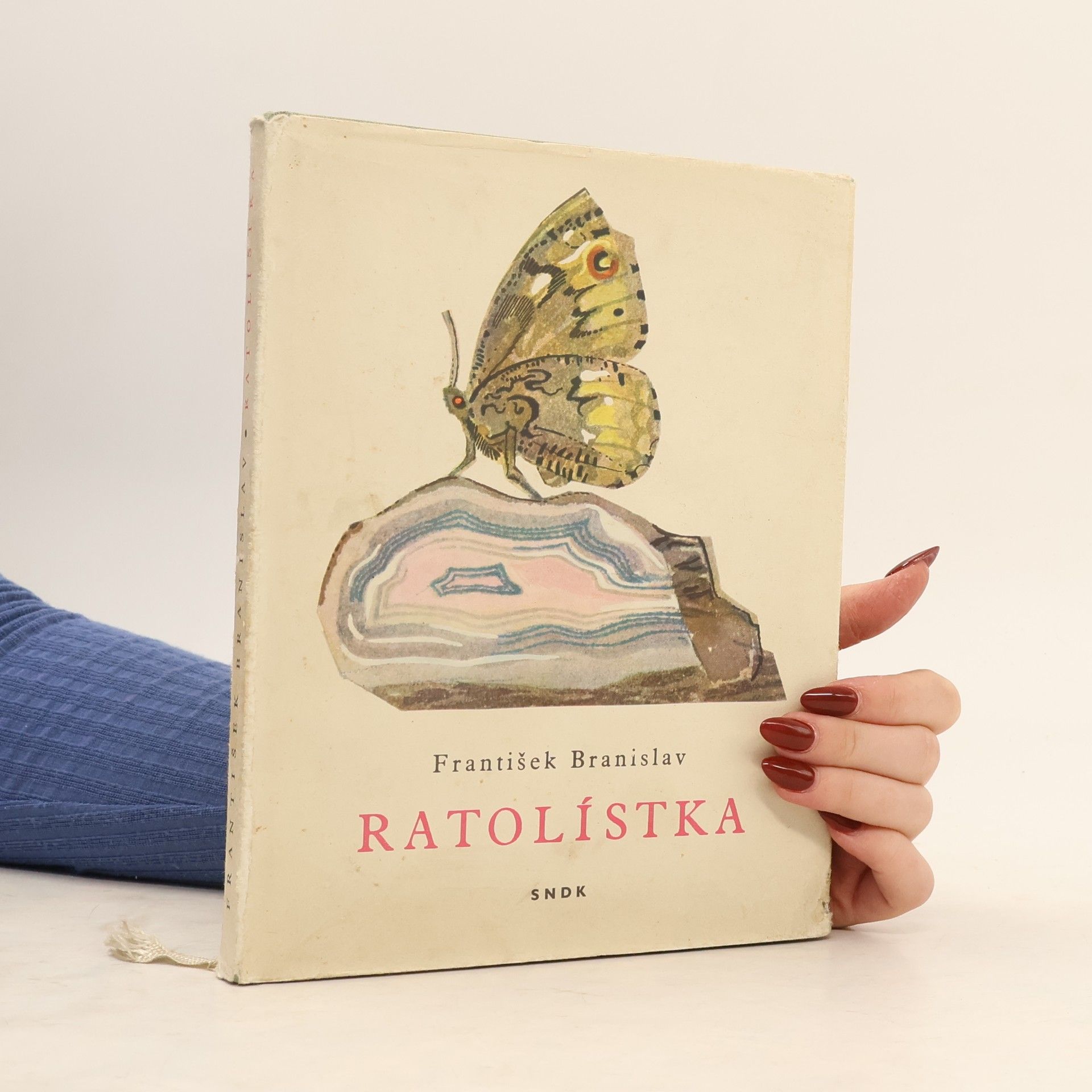 Vilém Plocek Ratolístka