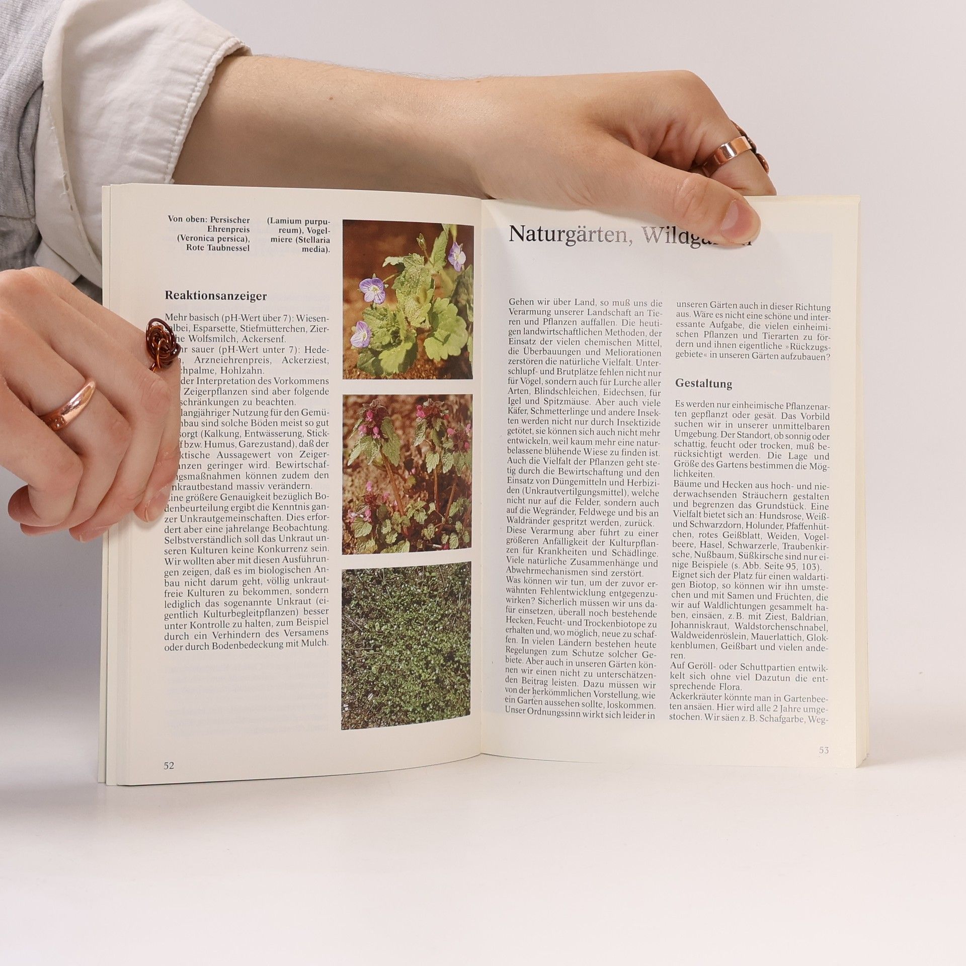 Rosmarie Eichenberger Das Jahr im biologischen Gartenbau