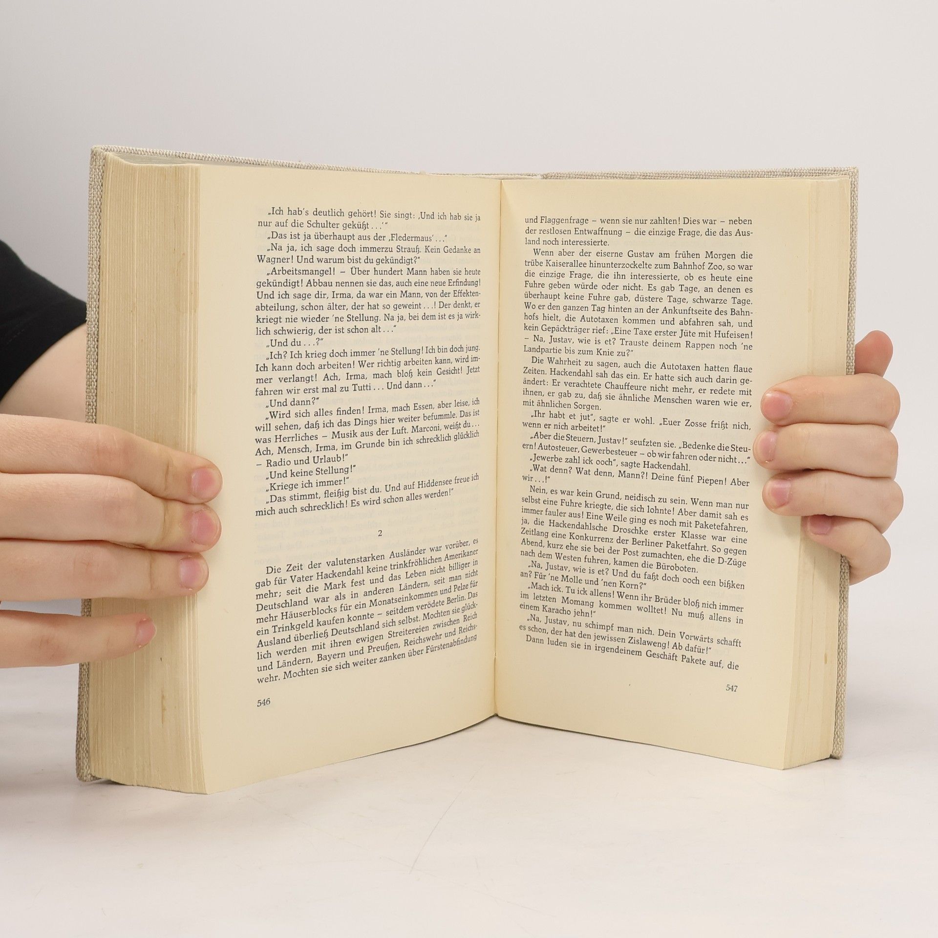 Hans Fallada Der eiserne Gustav