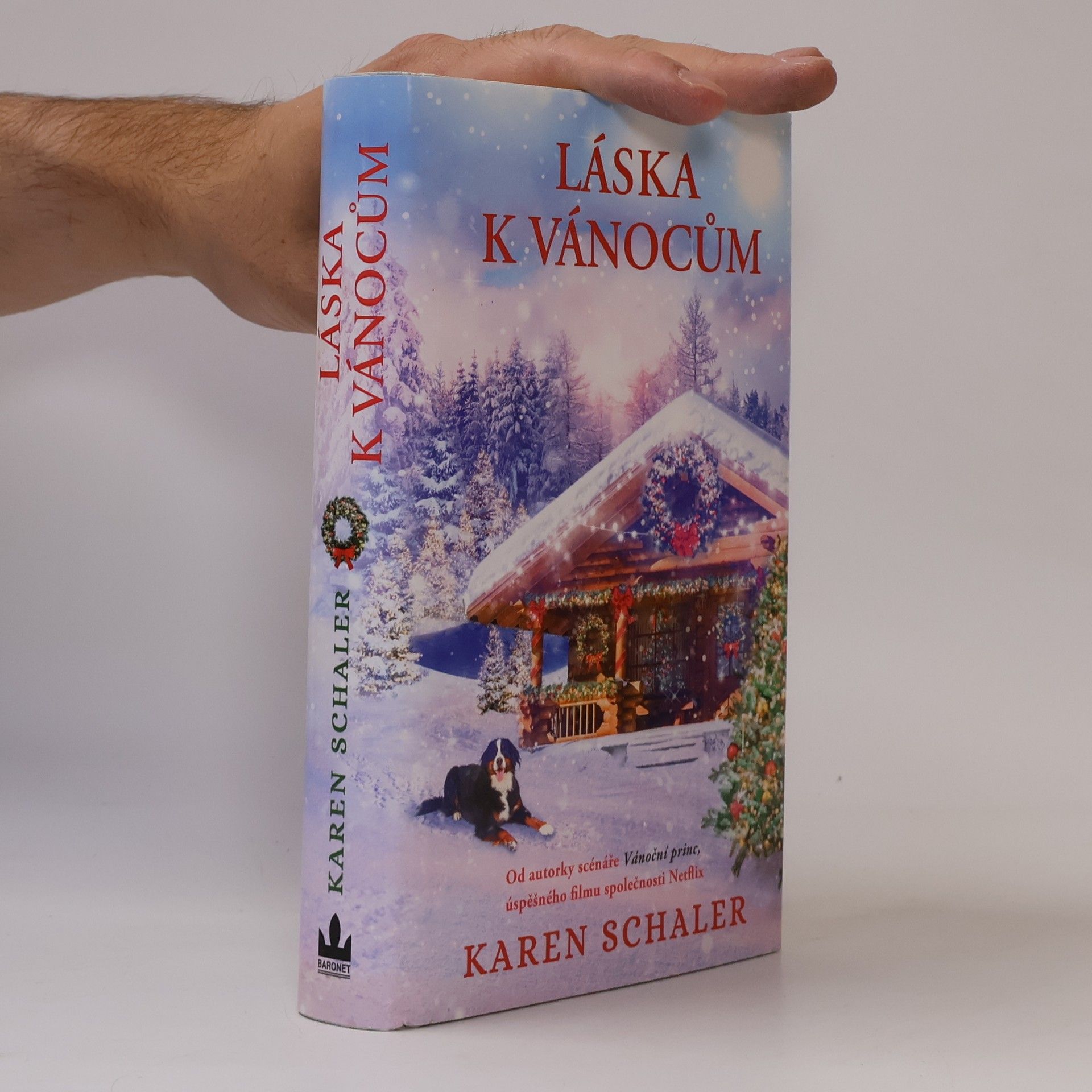 Karen Schaler Láska k Vánocům