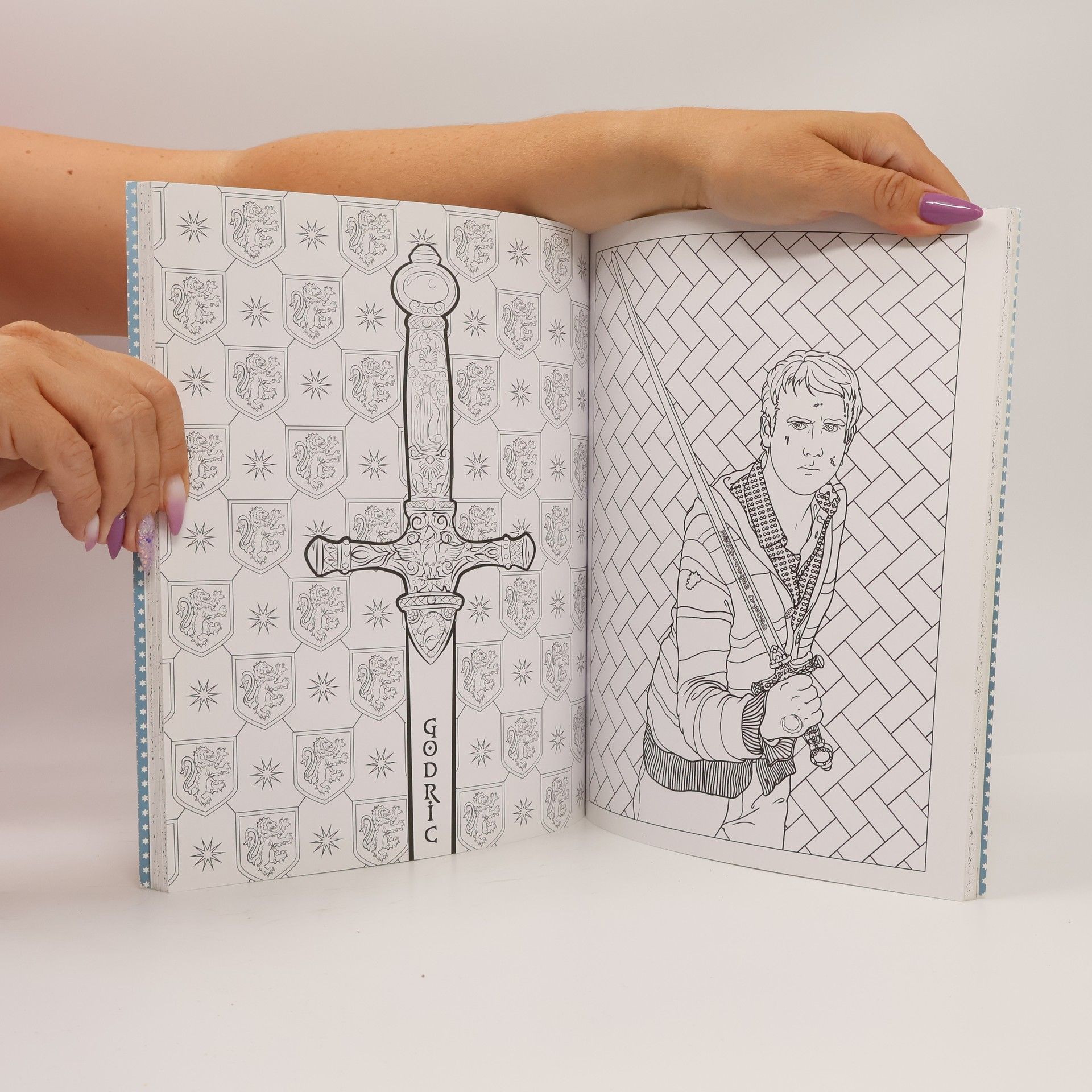Kolektív autorov Harry Potter. Magical Artefacts. Colouring Book