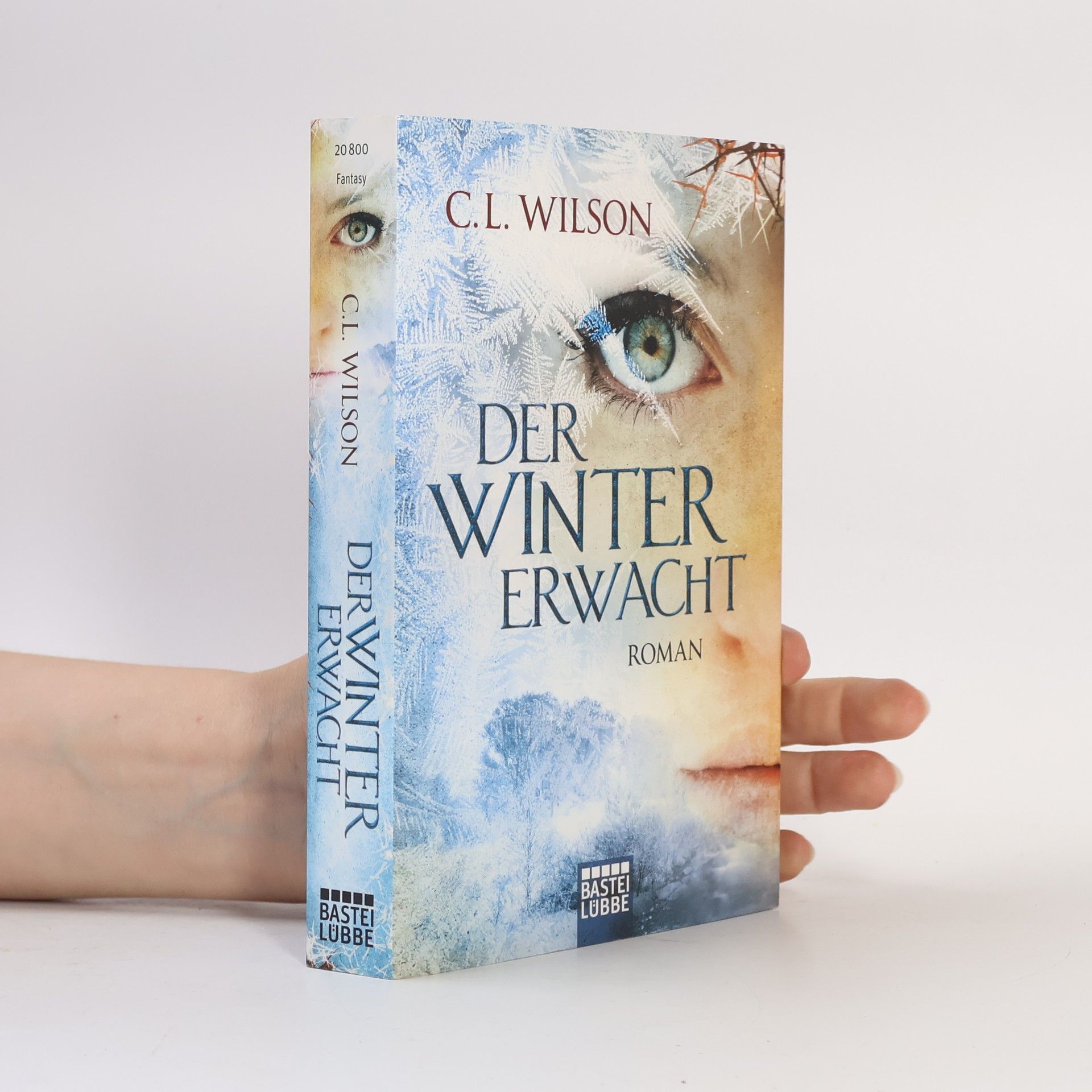 Cecil Leeburn Wilson Der Winter Erwacht
