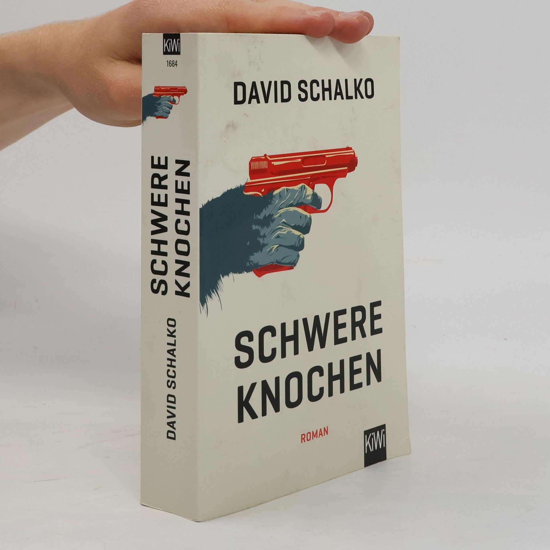 David Schalko Schwere Knochen