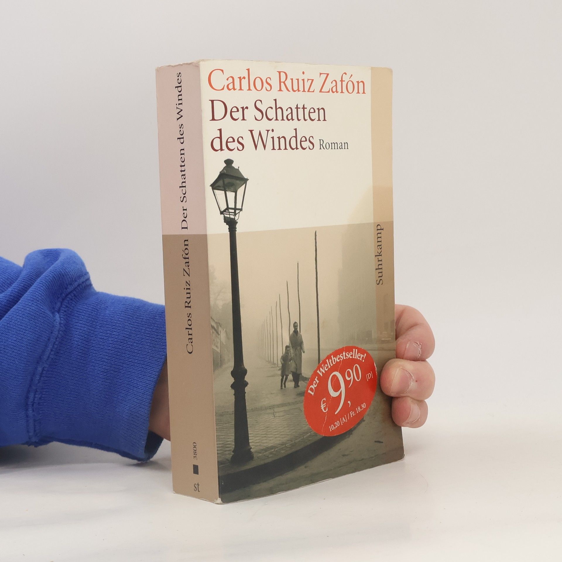 Carlos Ruiz Zafón Der Schatten des Windes
