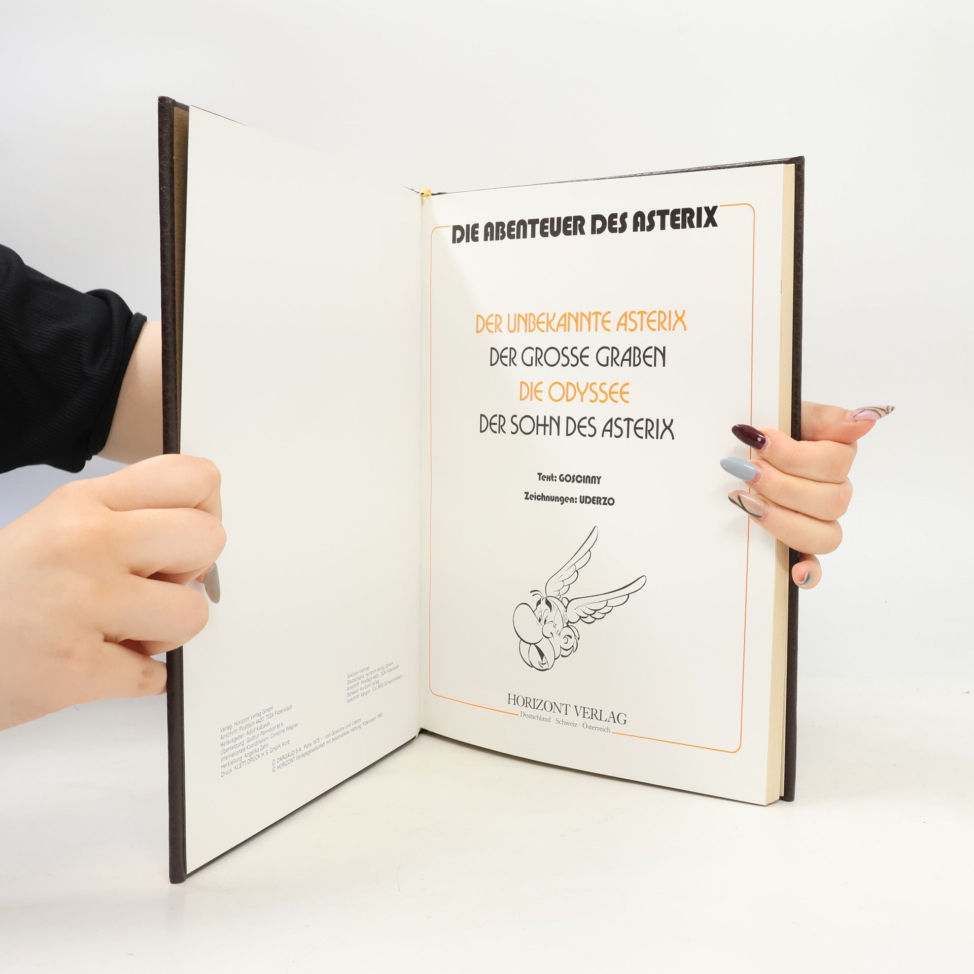René Goscinny Asterix der Gallier 6