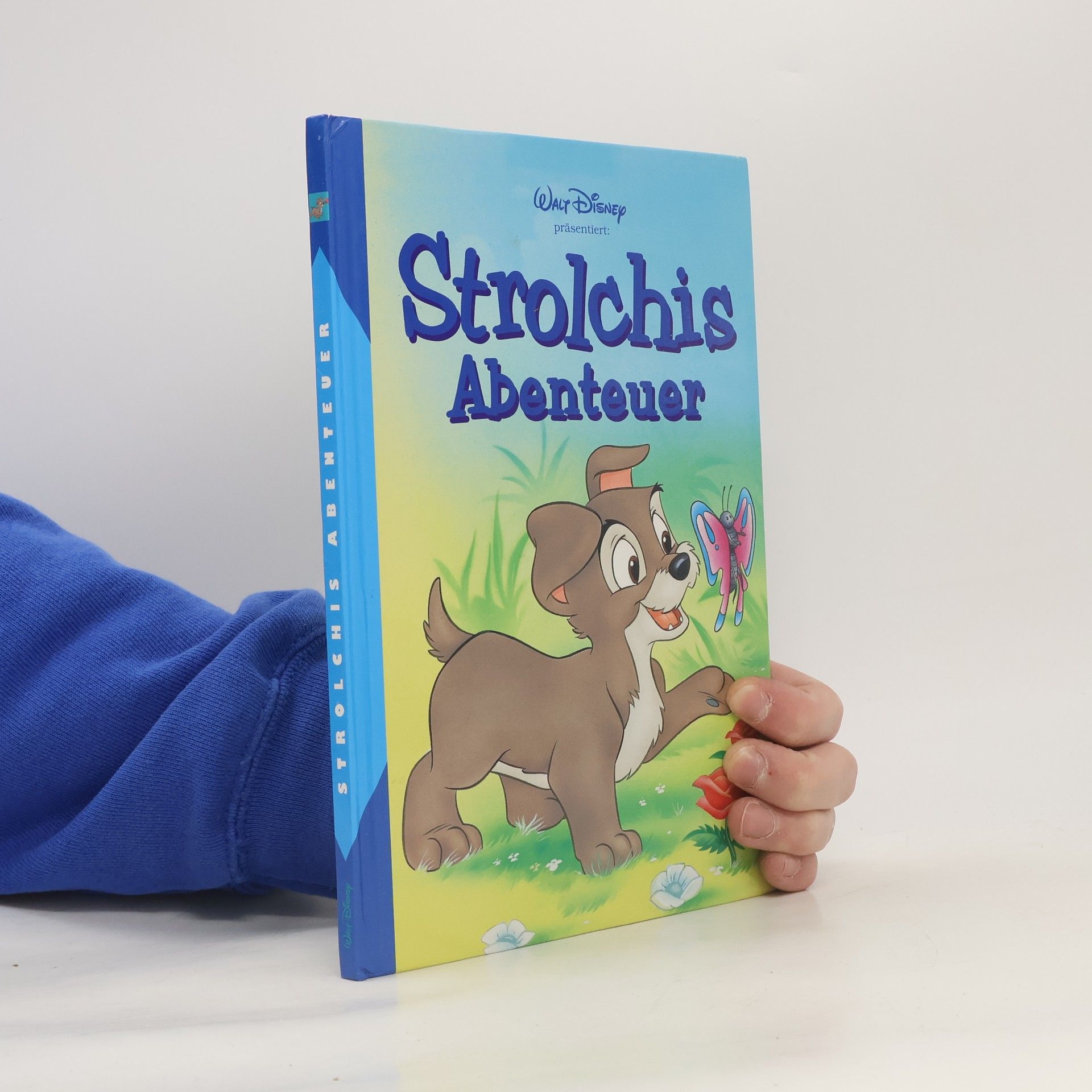 Autorenkollektiv Strolchis Abenteuer