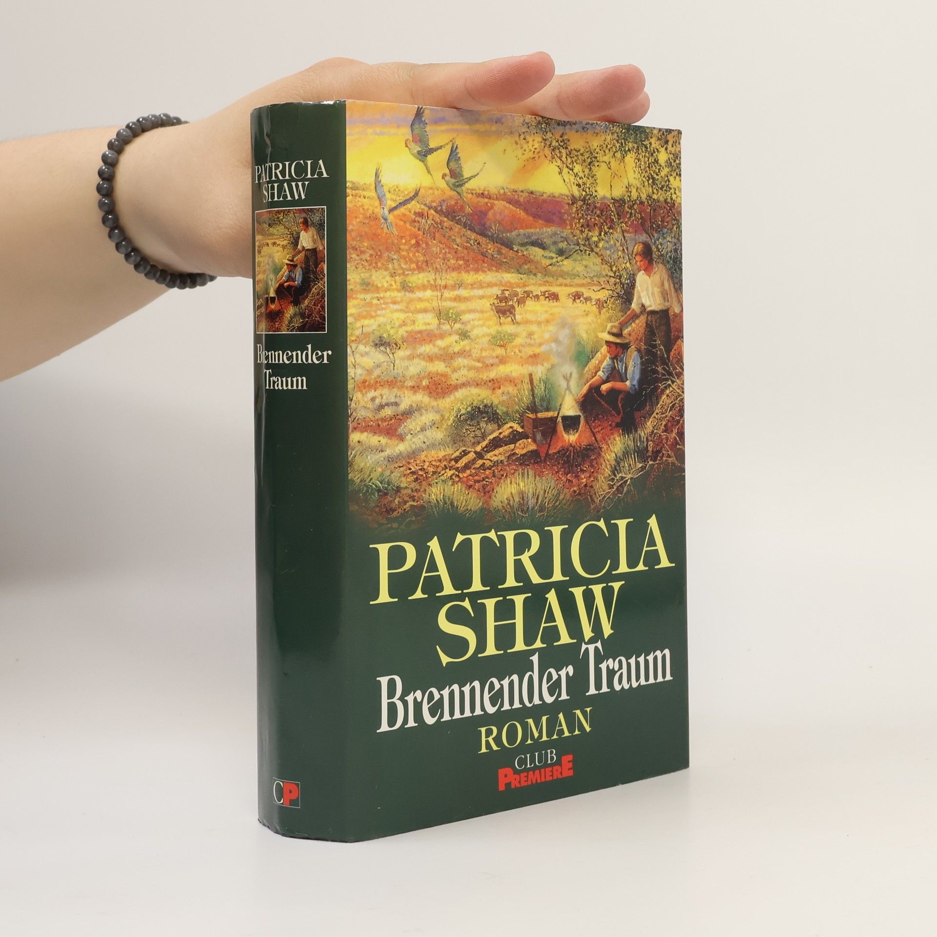 Patricia Shaw Brennender Traum