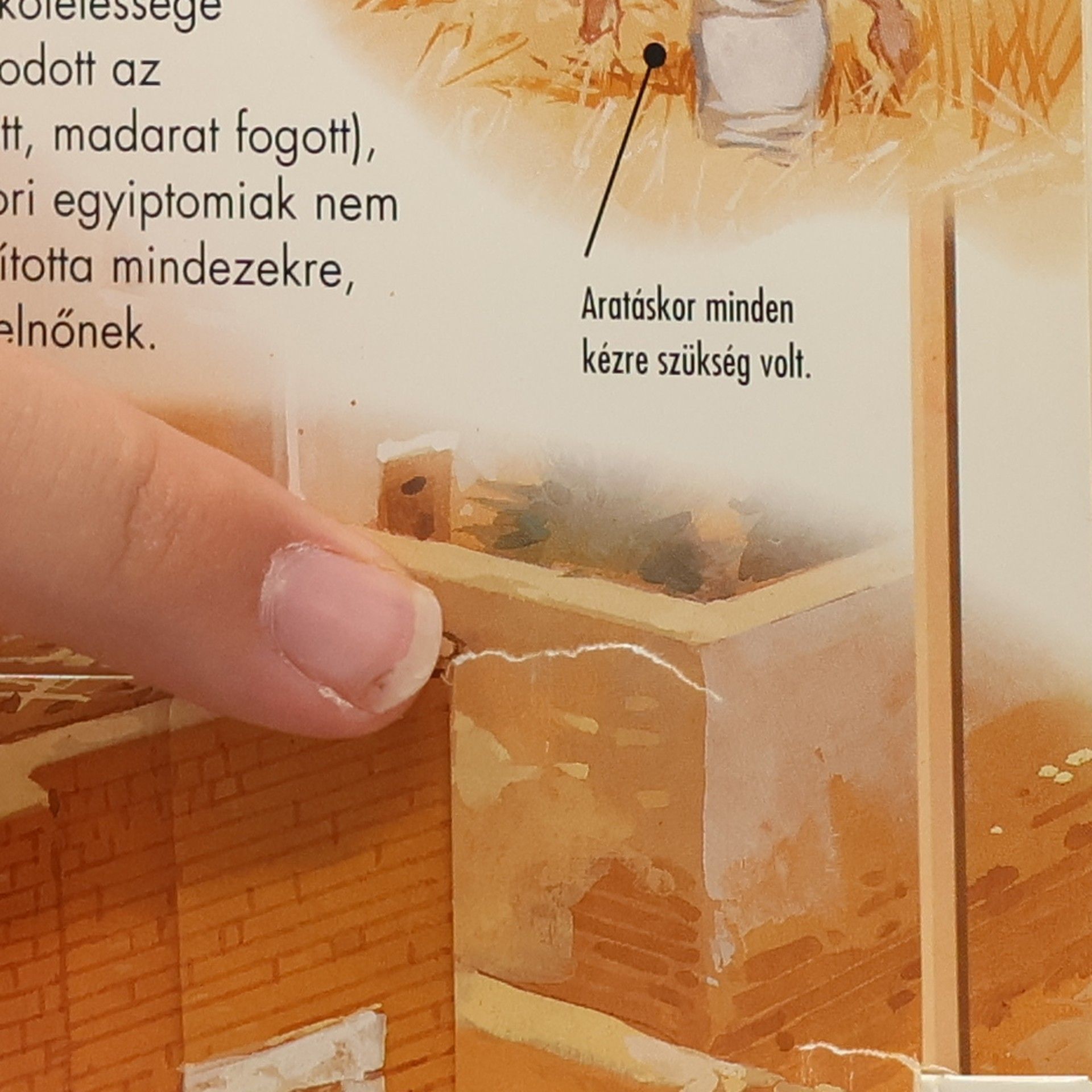 John Malam Az Ókori Egyiptom