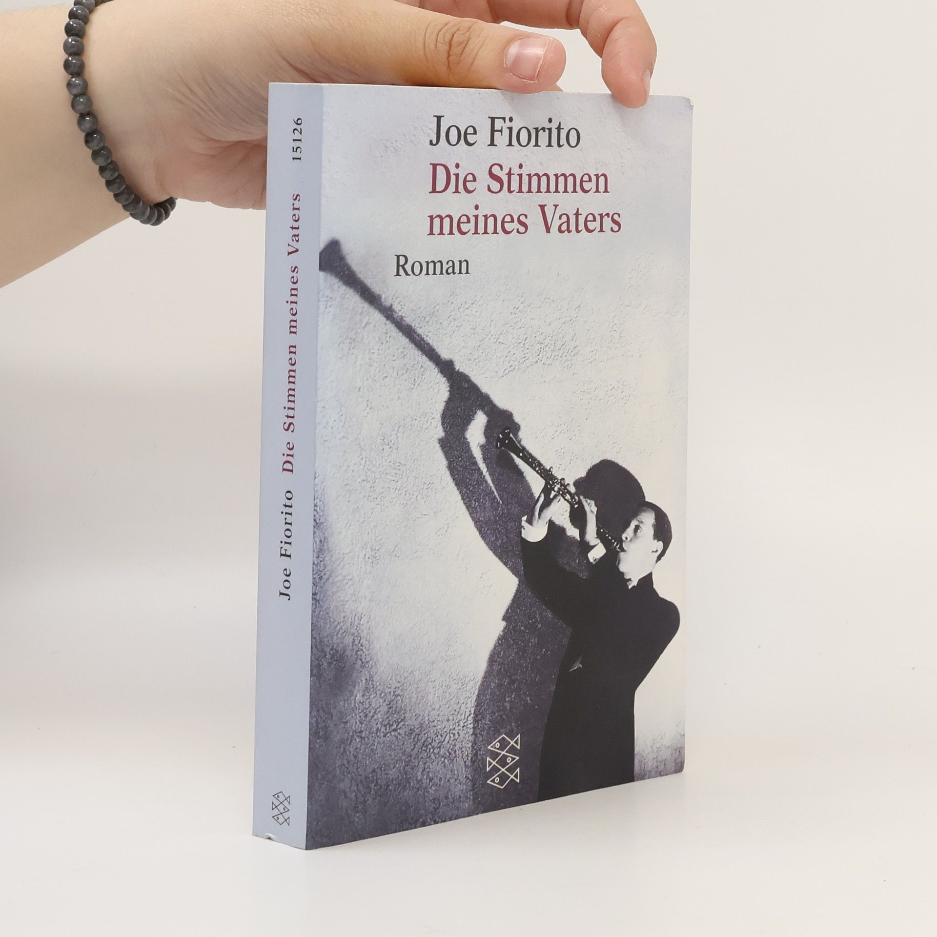 Joe Fiorito Die Stimmen meines Vaters