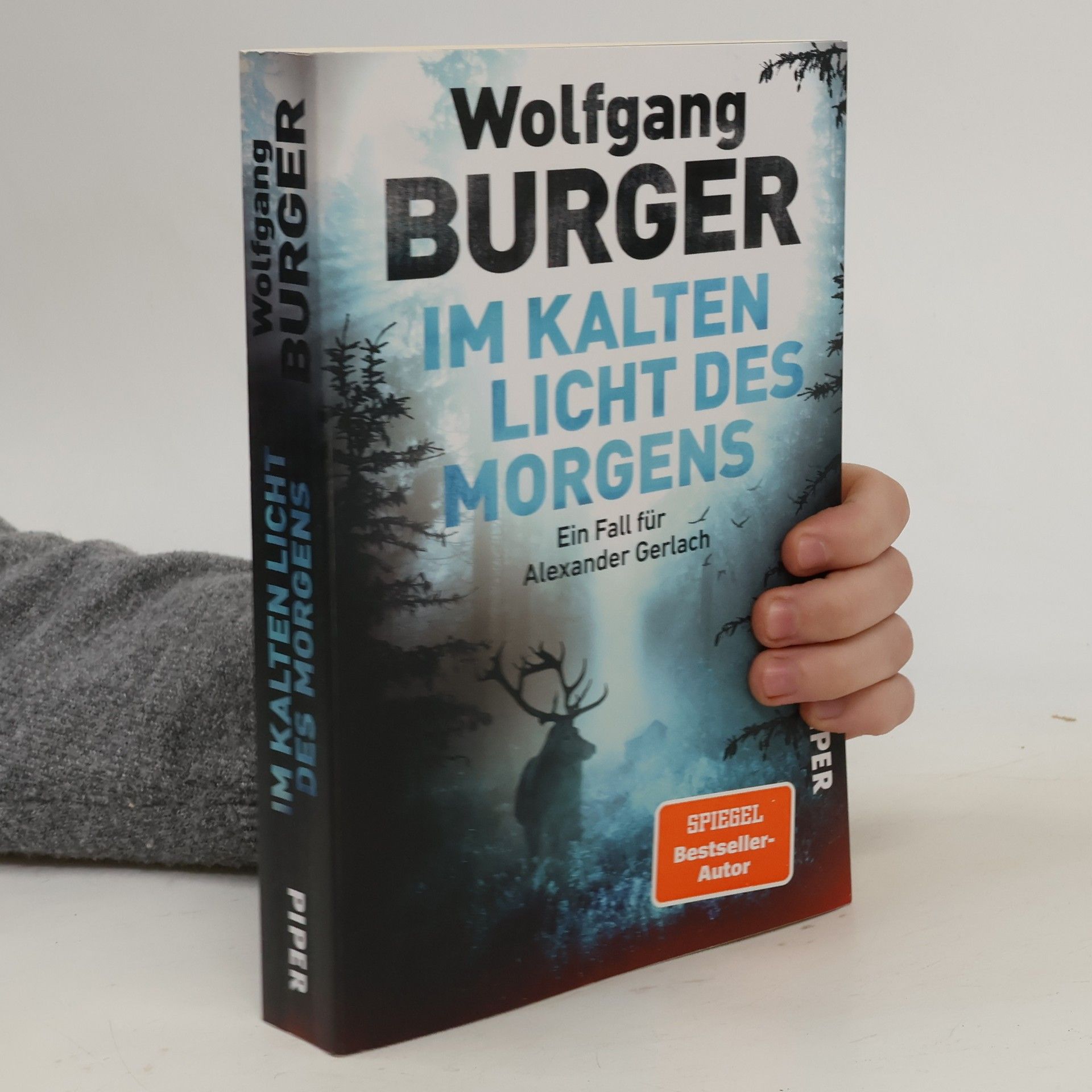 Wolfgang Burger Im kalten Licht des Morgens / Kripochef Alexander Gerlach Bd.20