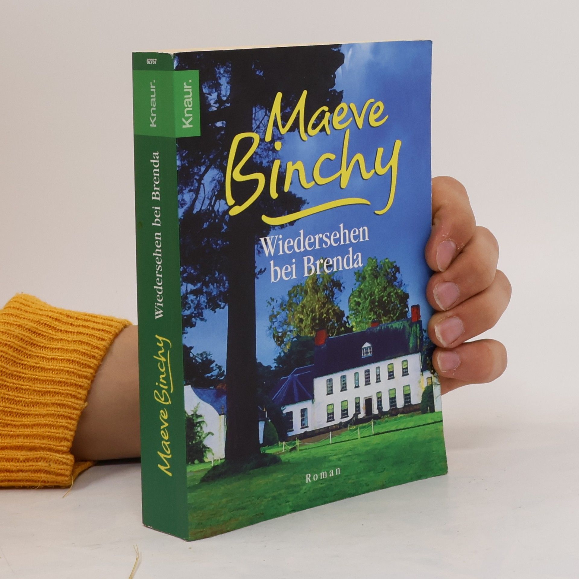 Maeve Binchy Wiedersehen bei Brenda