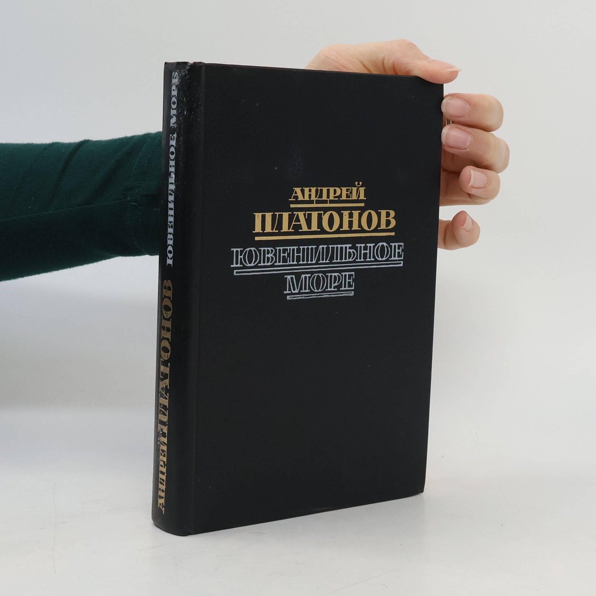 Andrej Platonov Ювенильное море