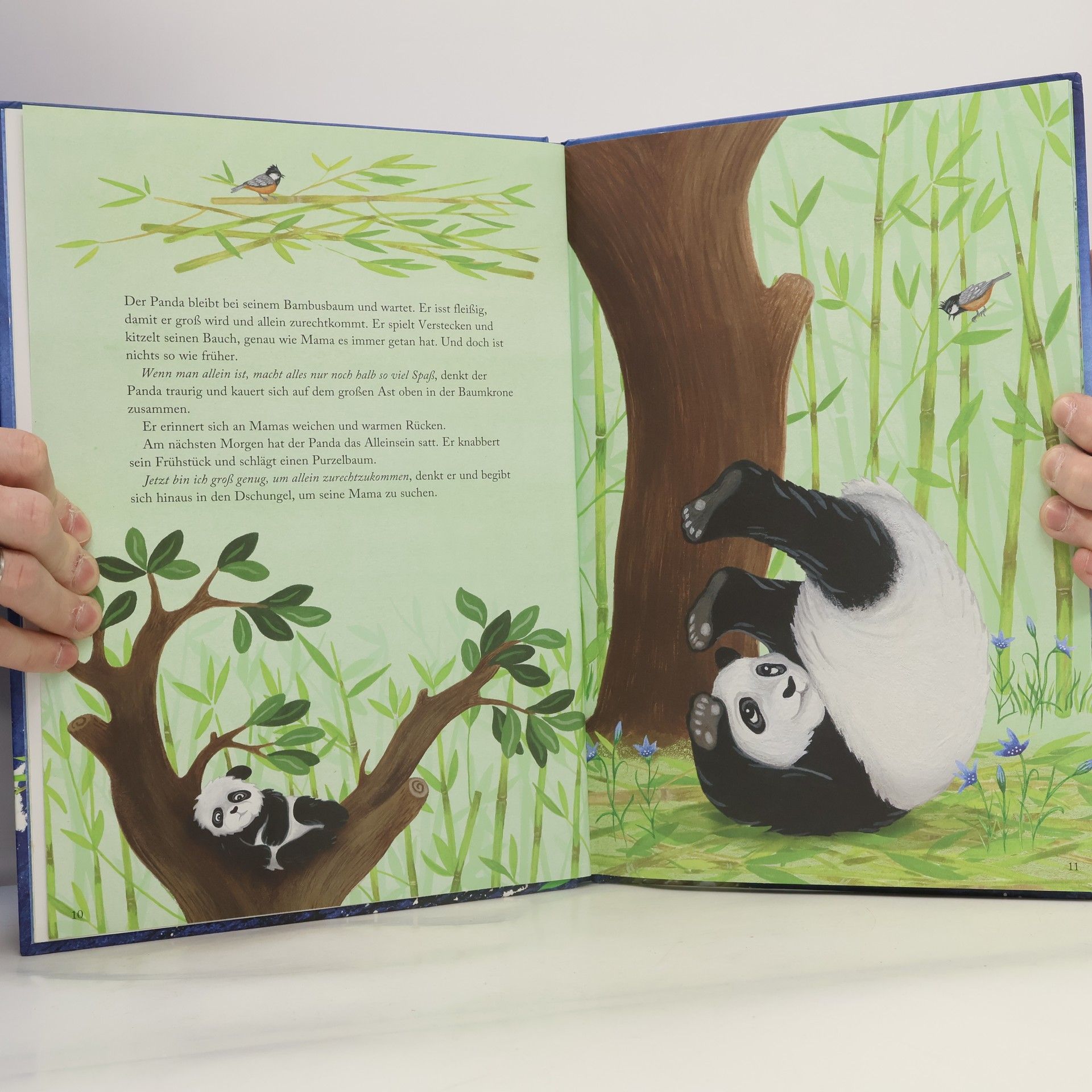 Ulf Stark Pandas große Reise