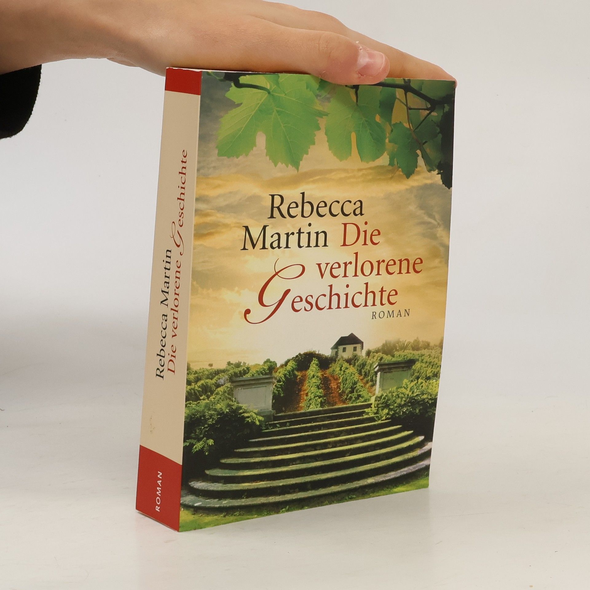 Rebecca Martin Die verlorene geschichte