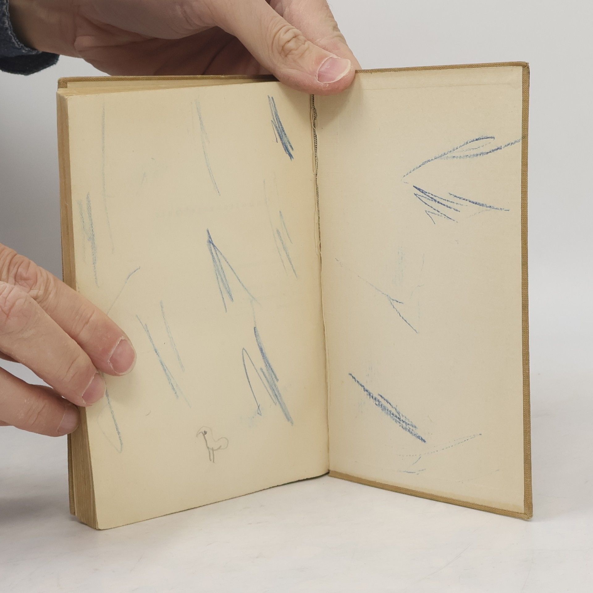Theodor Storm Der Schimmelreiter und andere Novellen