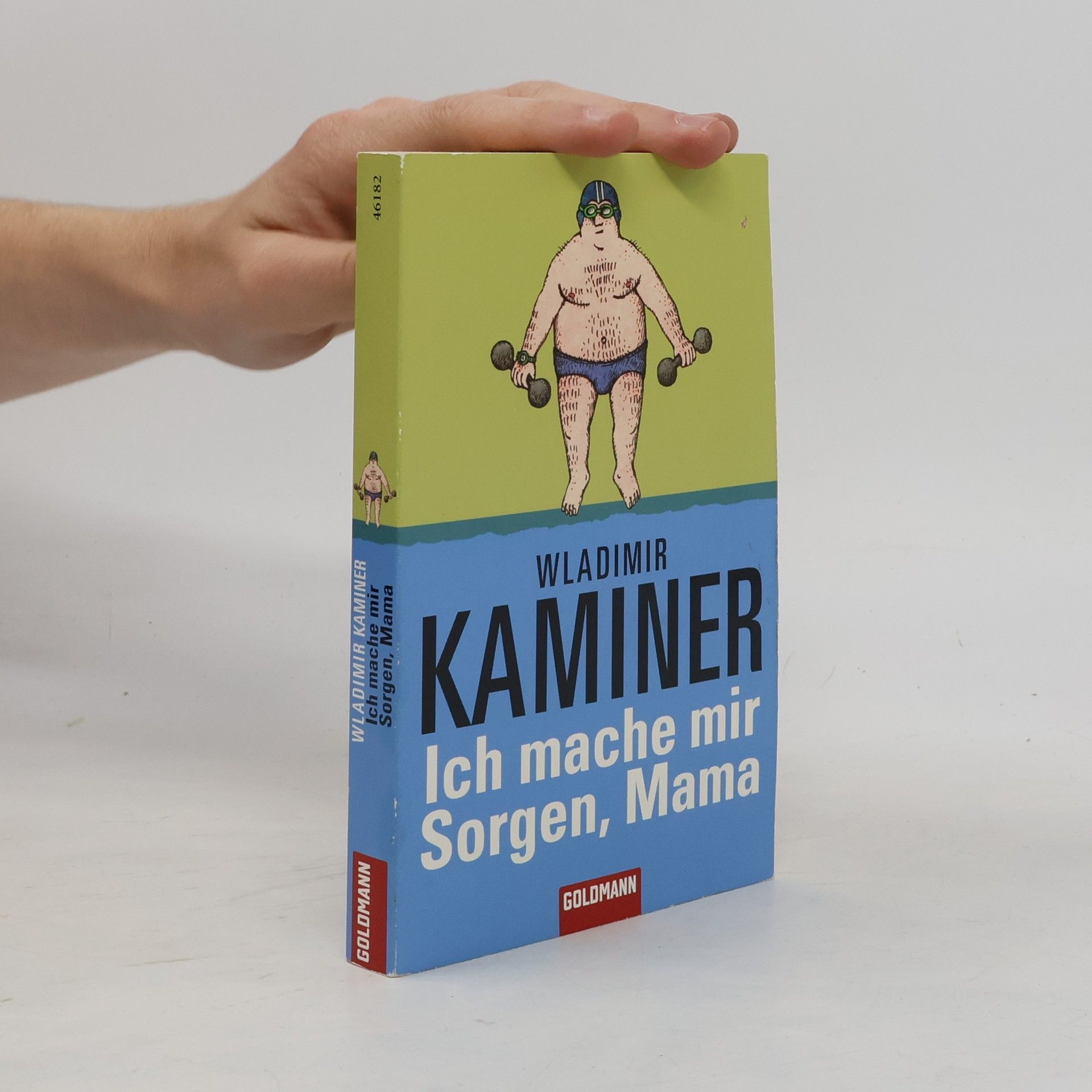 Wladimir Kaminer Ich mache mir Sorgen, Mama