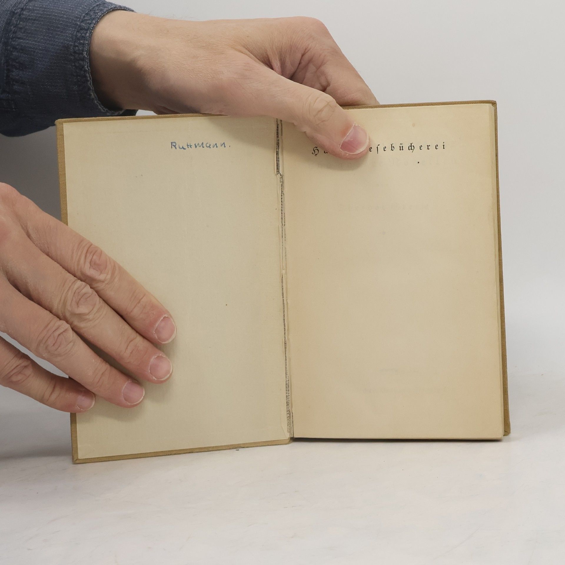 Theodor Storm Der Schimmelreiter und andere Novellen