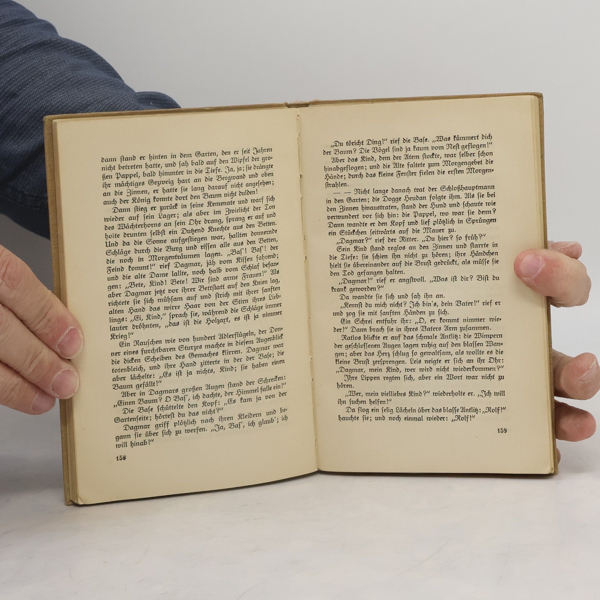 Theodor Storm Der Schimmelreiter und andere Novellen