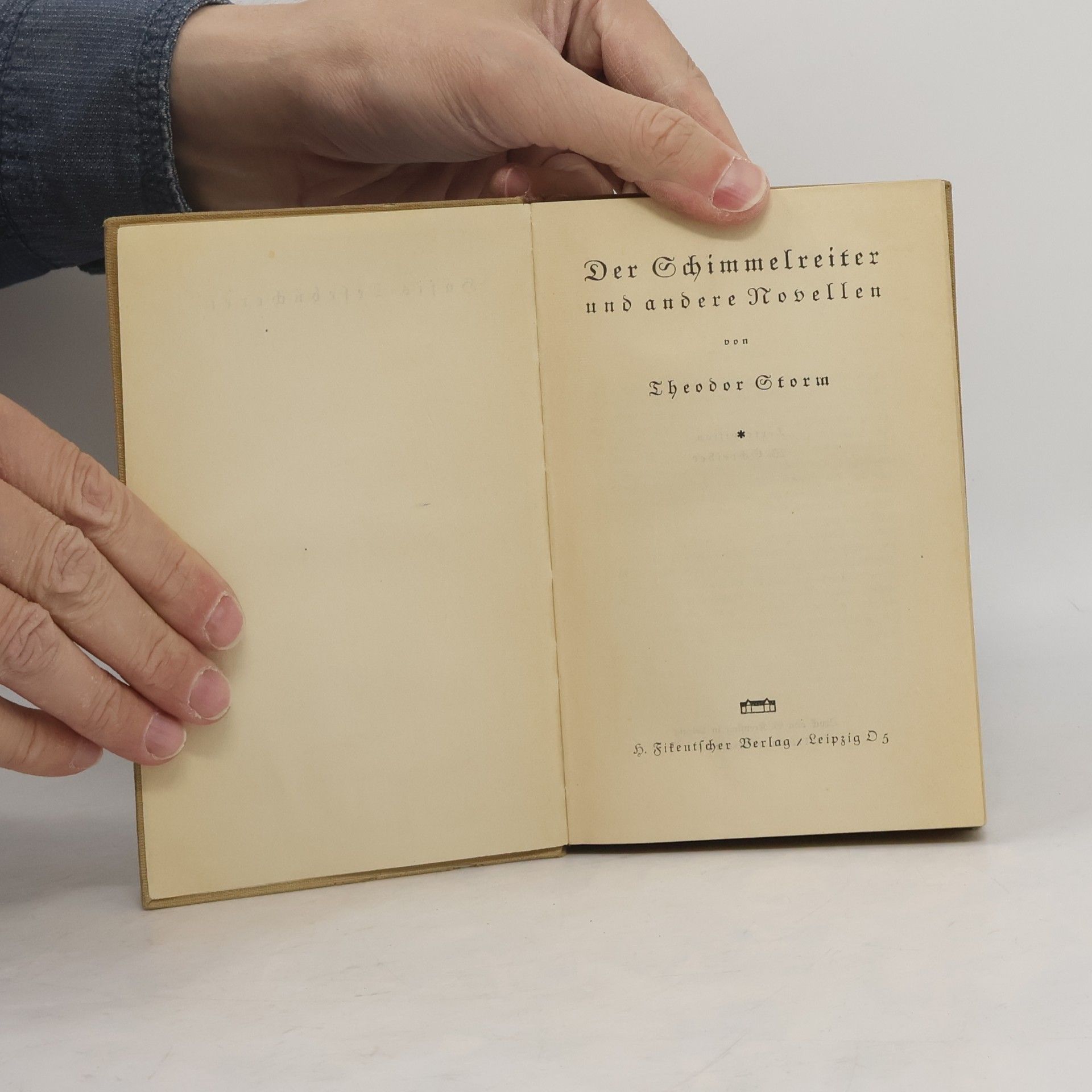 Theodor Storm Der Schimmelreiter und andere Novellen