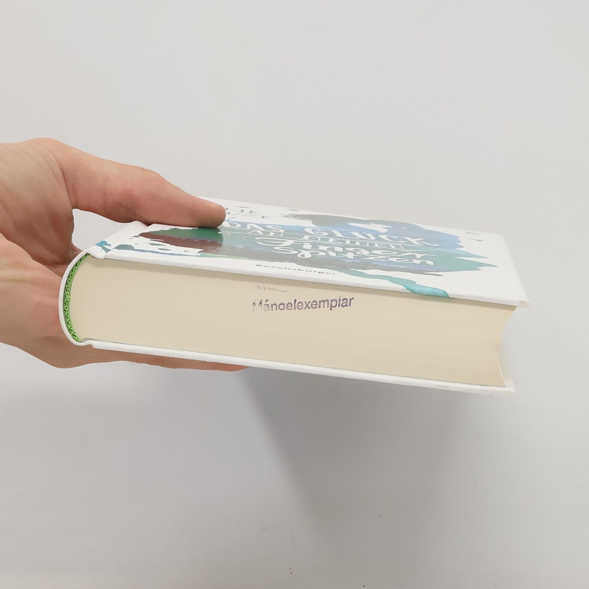 Julie Leuze Das Glück an meinen Fingerspitzen