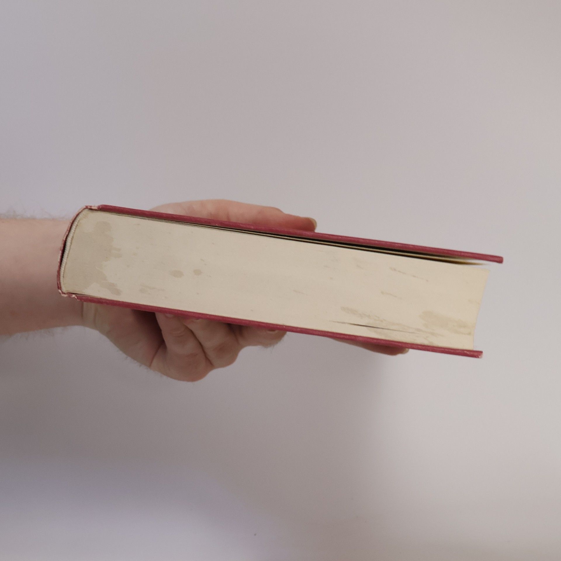 Manfred Fuhrmann Geschichte der römischen Literatur