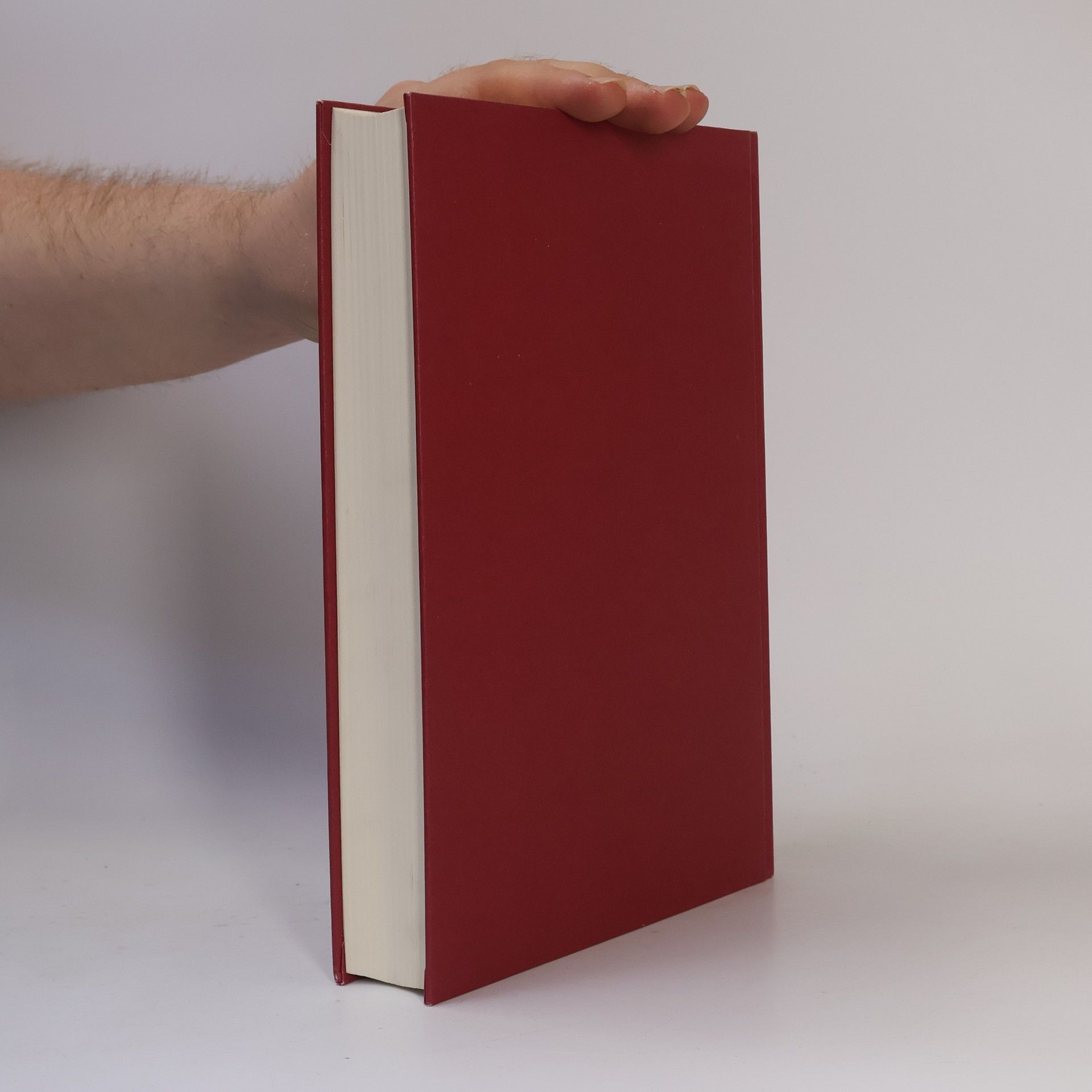 Manfred Fuhrmann Geschichte der römischen Literatur