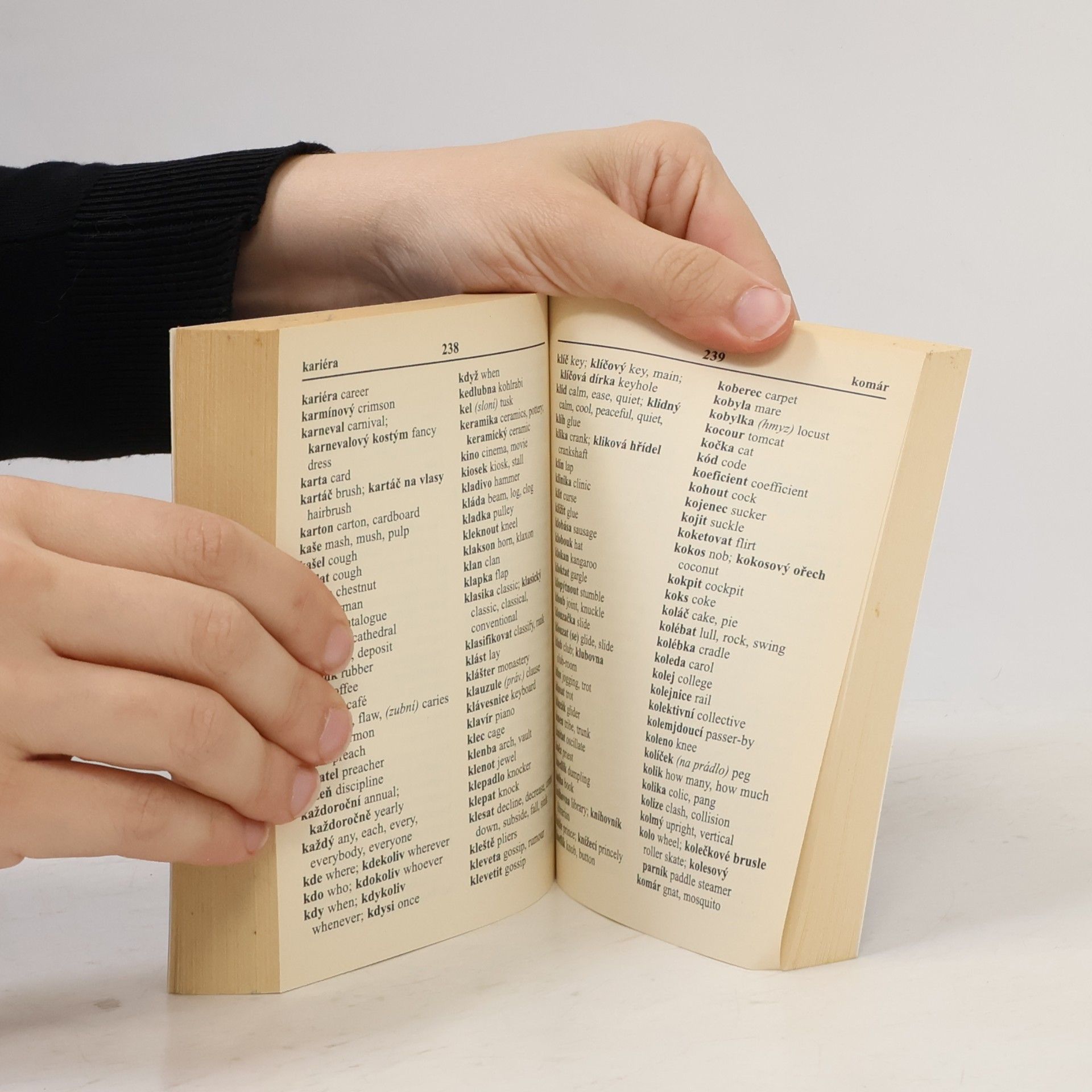 Autorenkollektiv Anglicko-český, česko-anglický slovník
