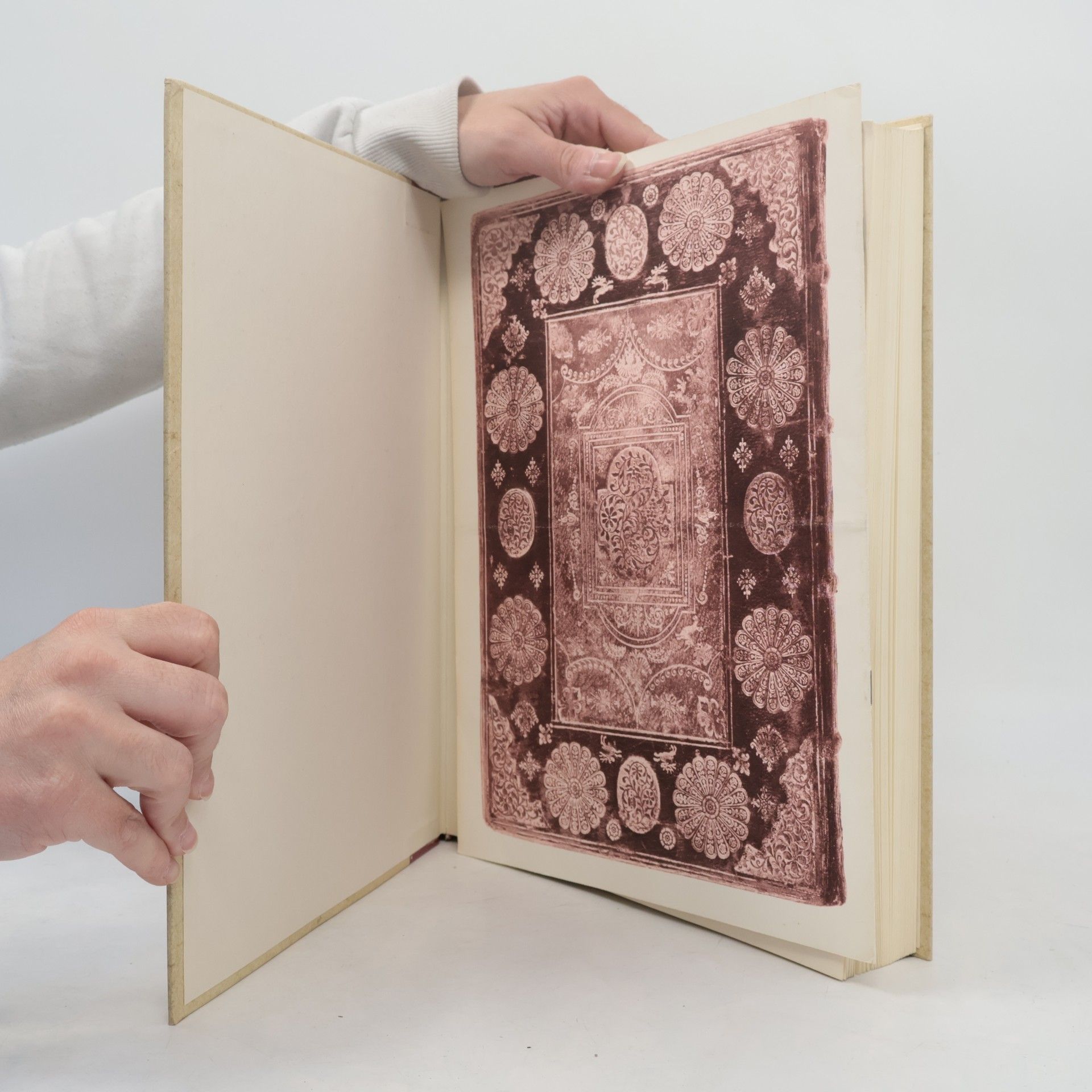 Kaiser Maximilian I. The Book of Hours of the Emperor