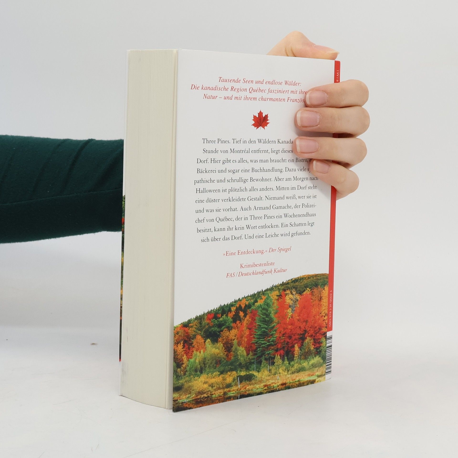Louise Penny Hinter den drei Kiefern