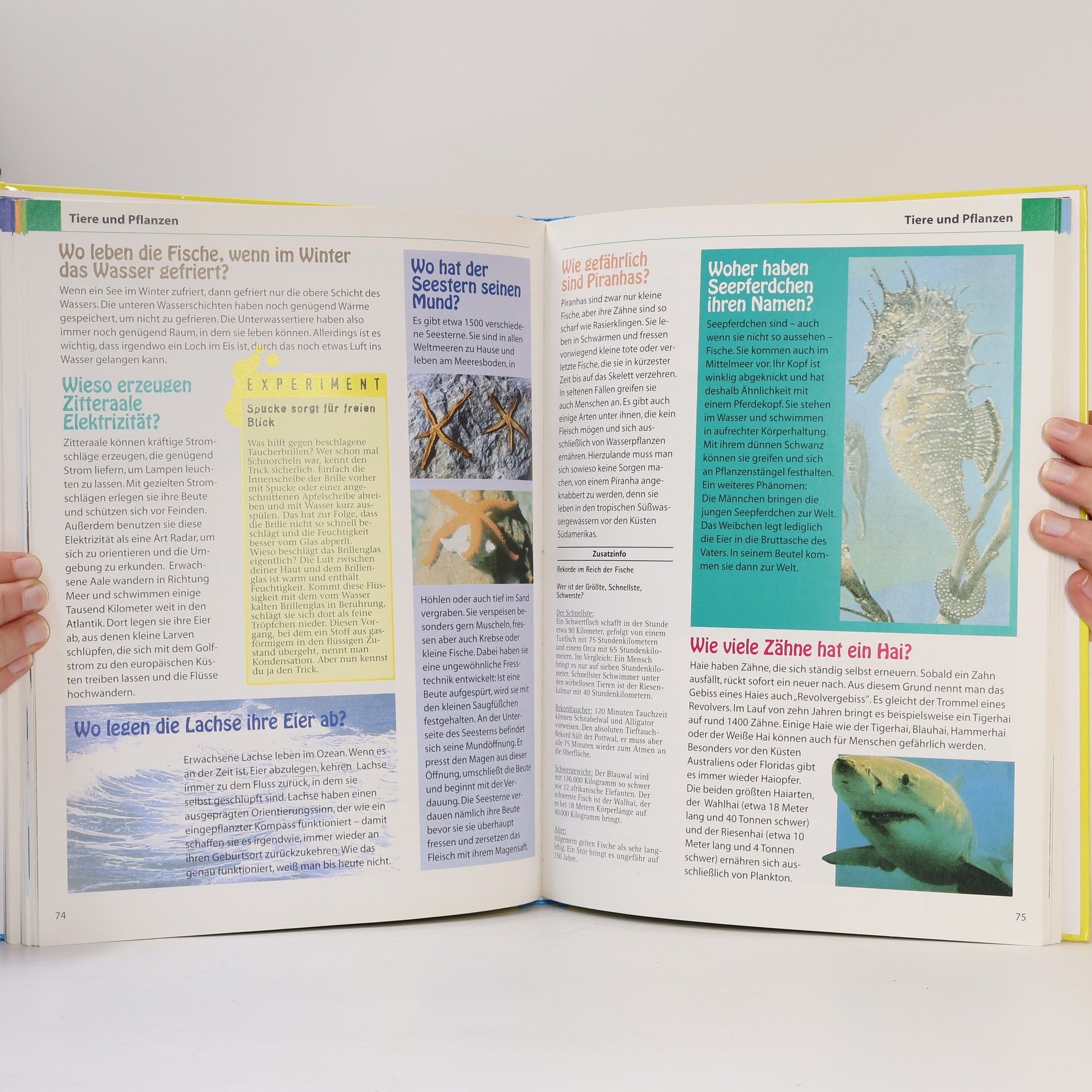 Ilse Hell Das große Buch der 555 Kinderfragen