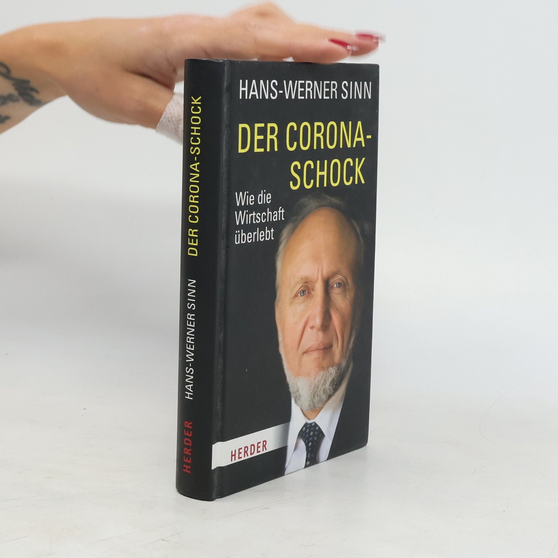 Werner Sinn Der Corona-Schock