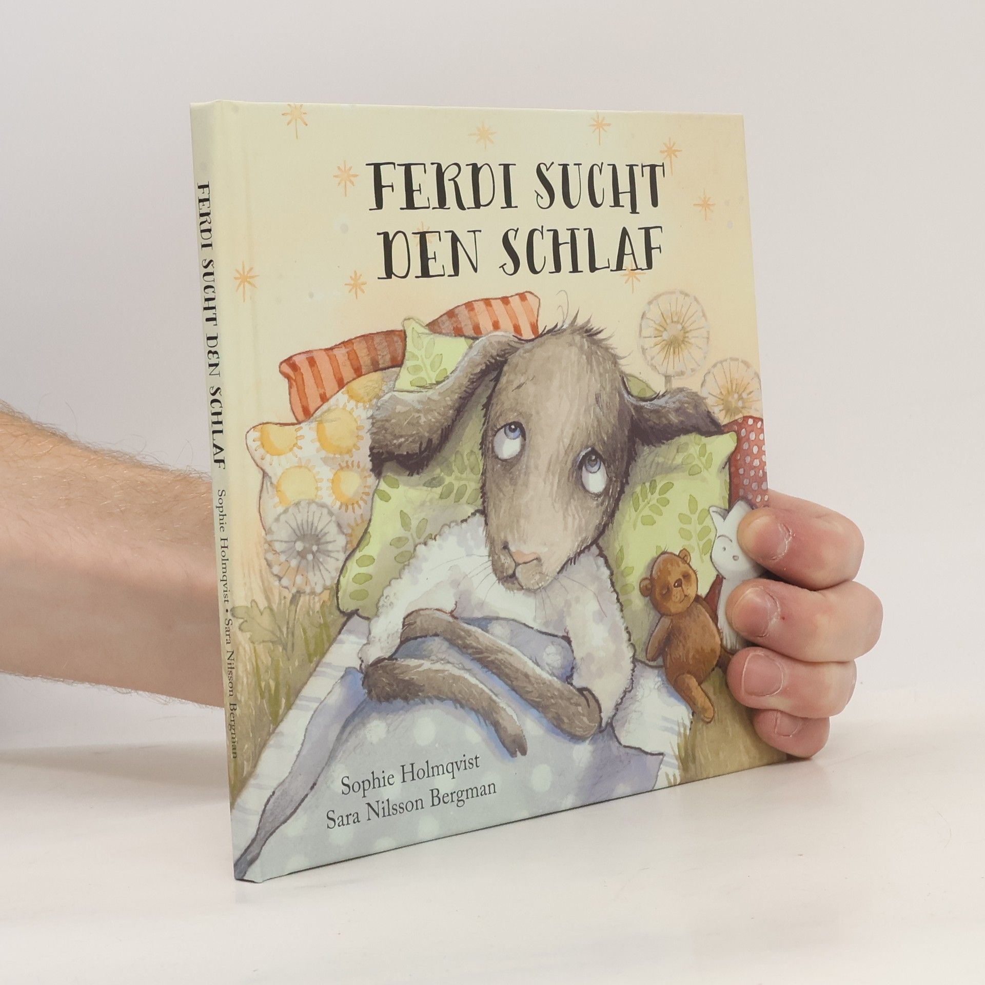 Sophie Holmqvist Ferdi Sucht den Schlaf