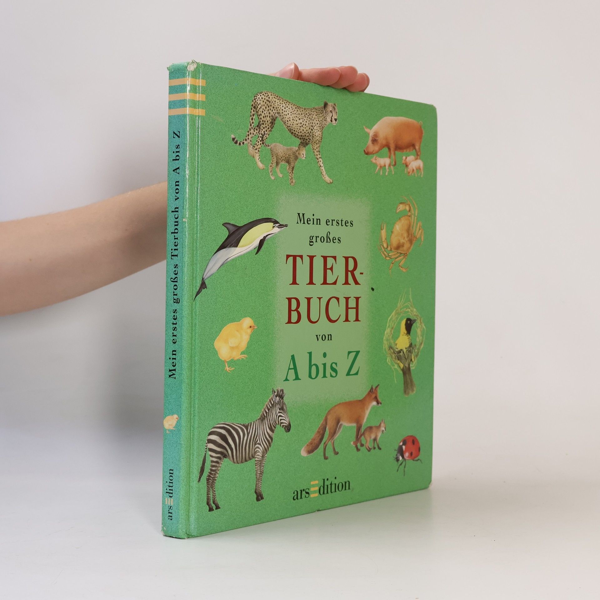 Christian Havard Mein erstes großes Tierbuch von A bis Z