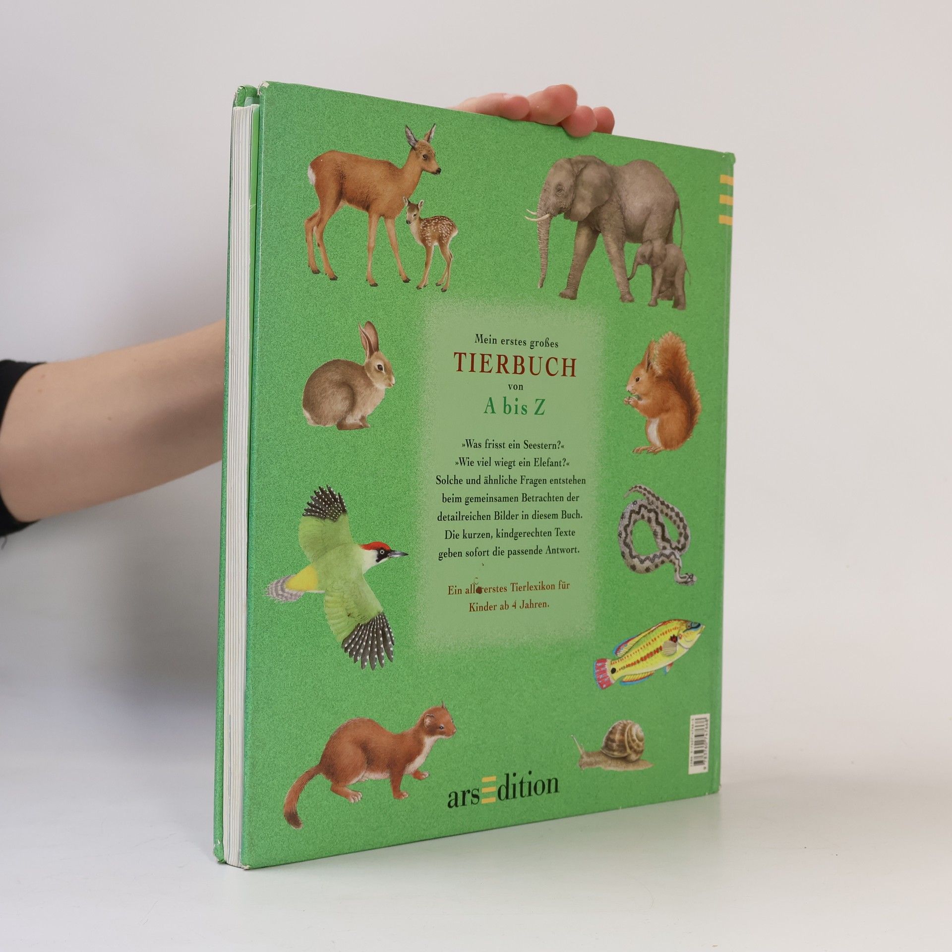 Christian Havard Mein erstes großes Tierbuch von A bis Z