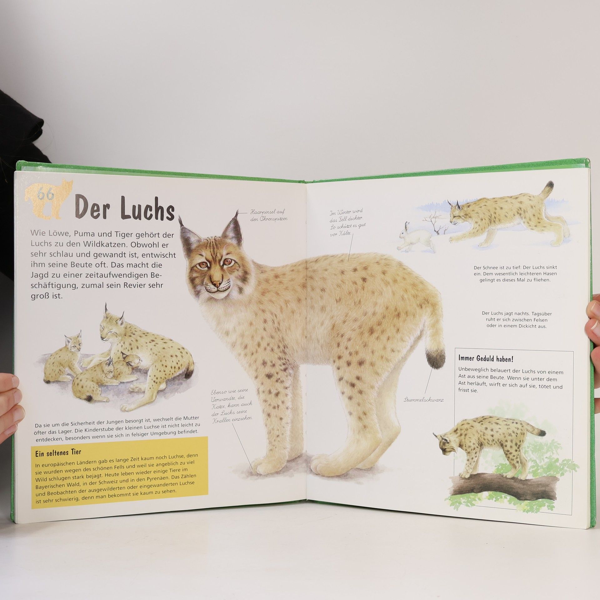 Christian Havard Mein erstes großes Tierbuch von A bis Z