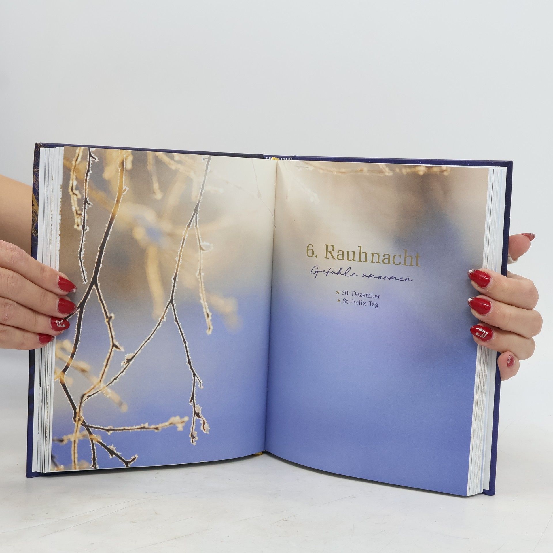 Valentin Kirschgruber Das Wunder der Rauhnächte. Mein magisches Tagebuch für die 12 heiligen Nächte - Rituale, Bräuche und Meditationen für die innere Einkehr